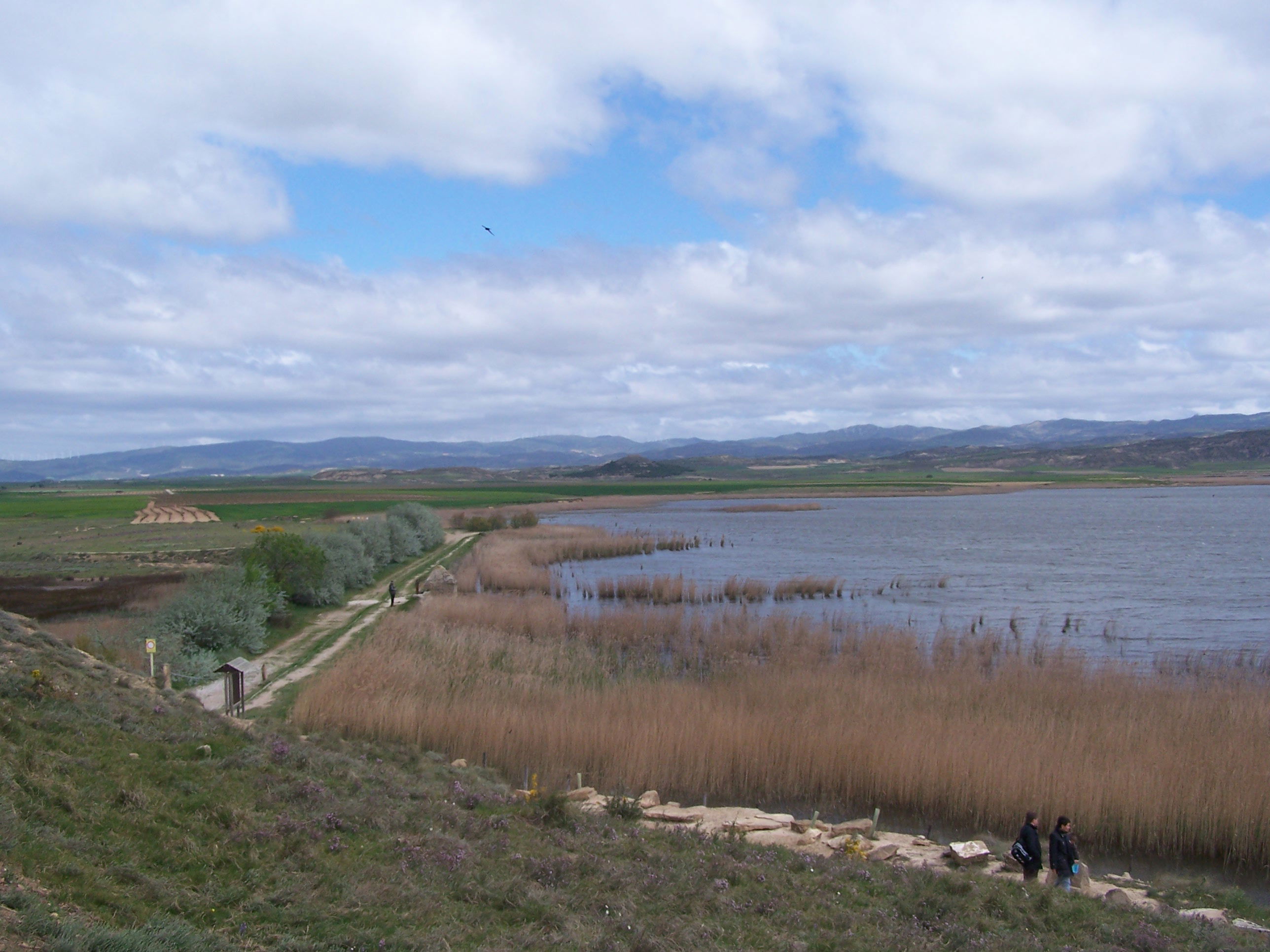 Laguna de Pitillas, por Turiscapadas