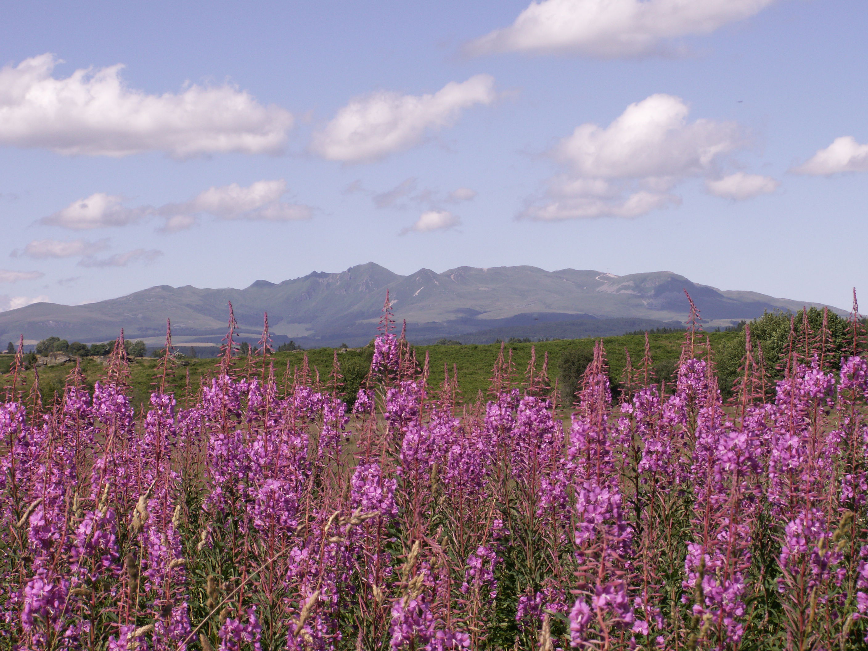 Montes del Sancy, por Eric Podevigne