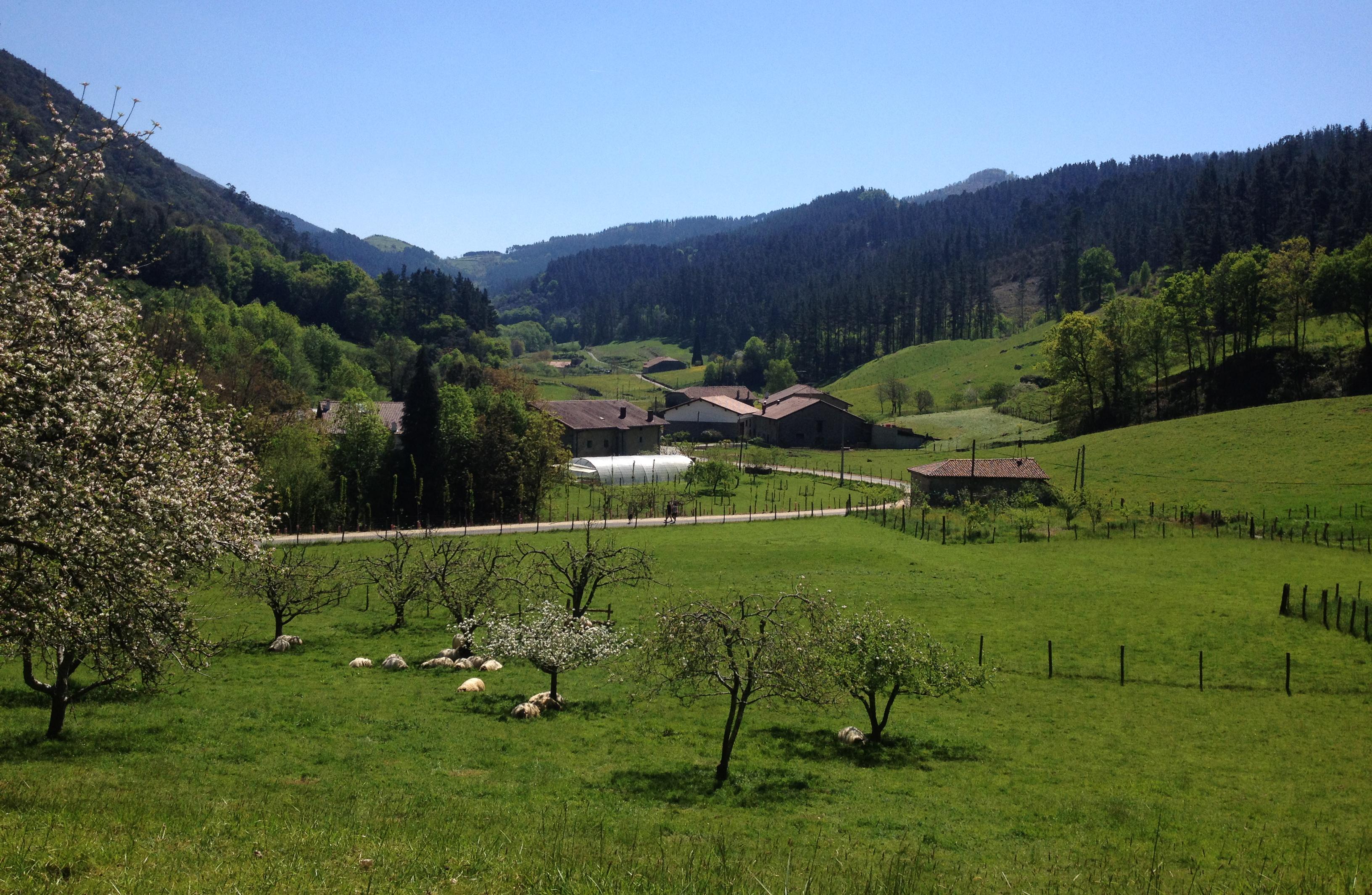 Ruta por el Bosque de Oma, por Cristina E Lozano