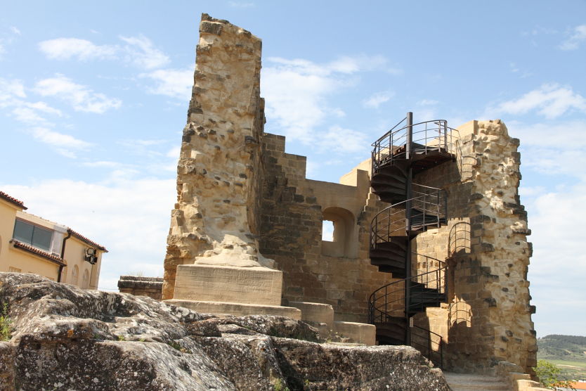 Castillo de Briones, por ANADEL