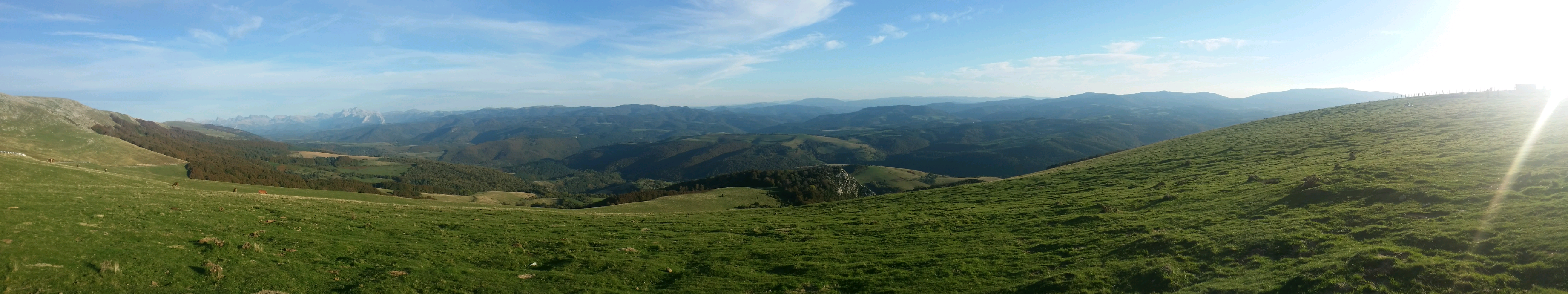 Descubre los bosques en Navarra que te conectarán con la naturaleza