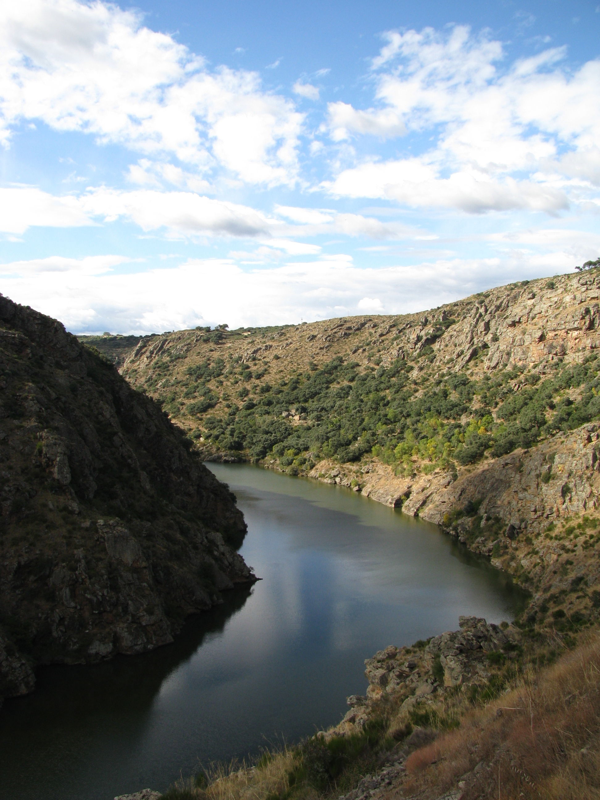 Puente Pino, por Lonifasiko