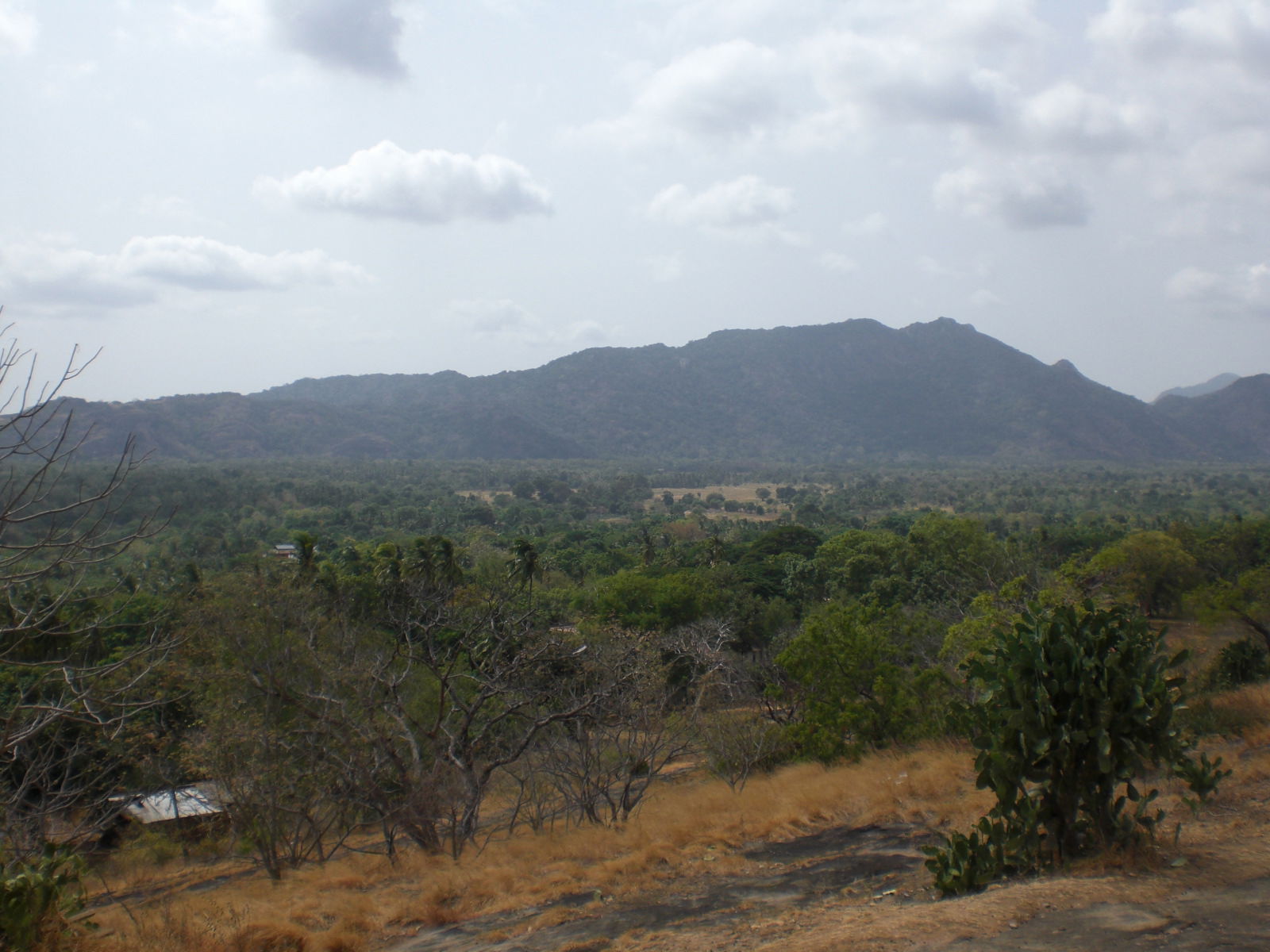 De Naula a Dambulla, por paulinette