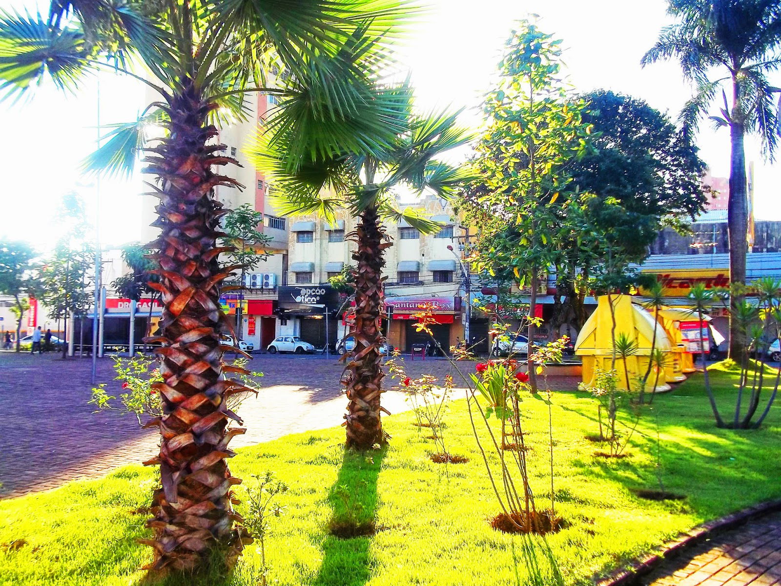 Plaza Bom Jesus, por Laryssa Balduino