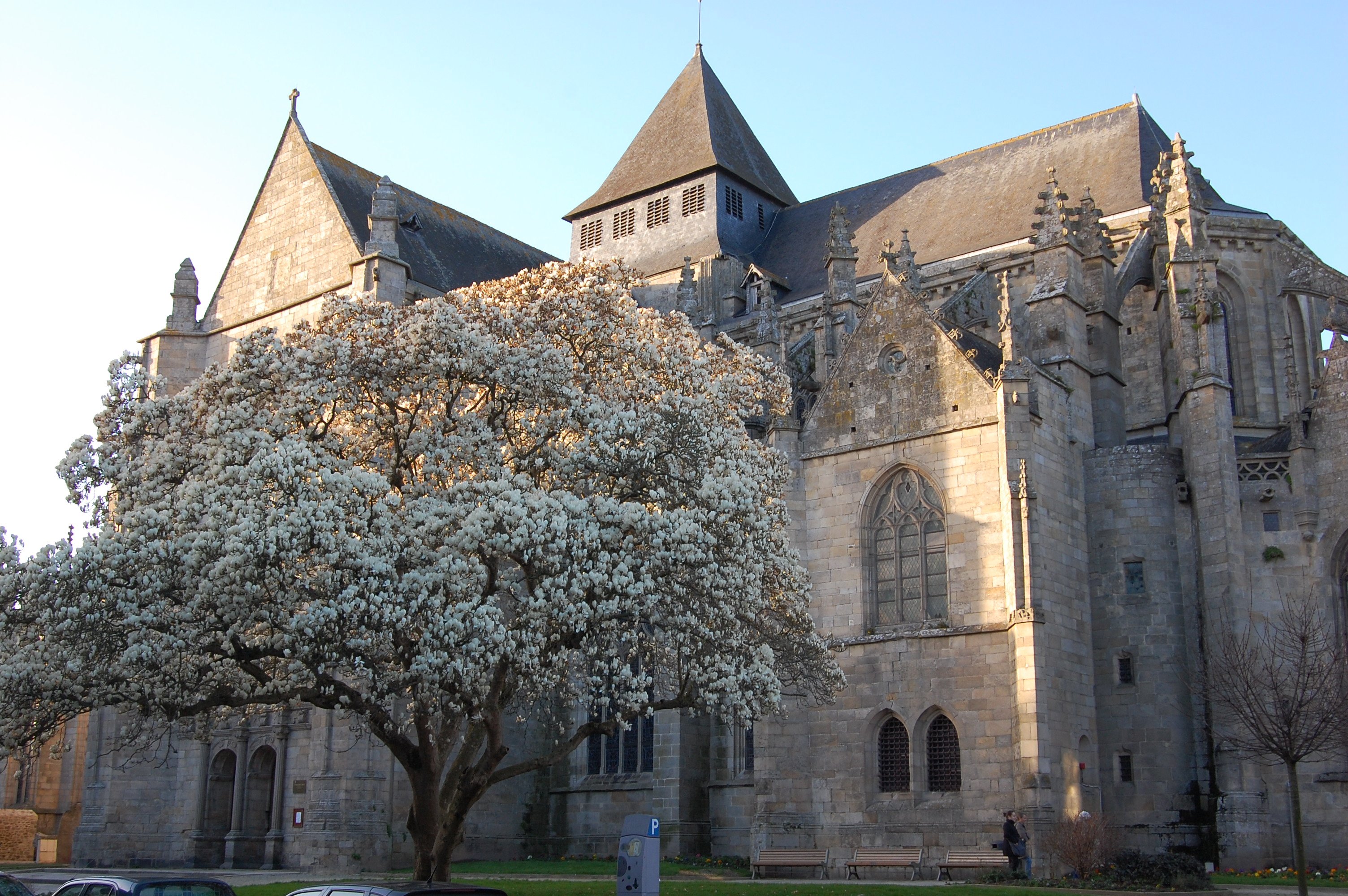 Iglesia Saint-Malo en Dinan: 1 opiniones y 8 fotos