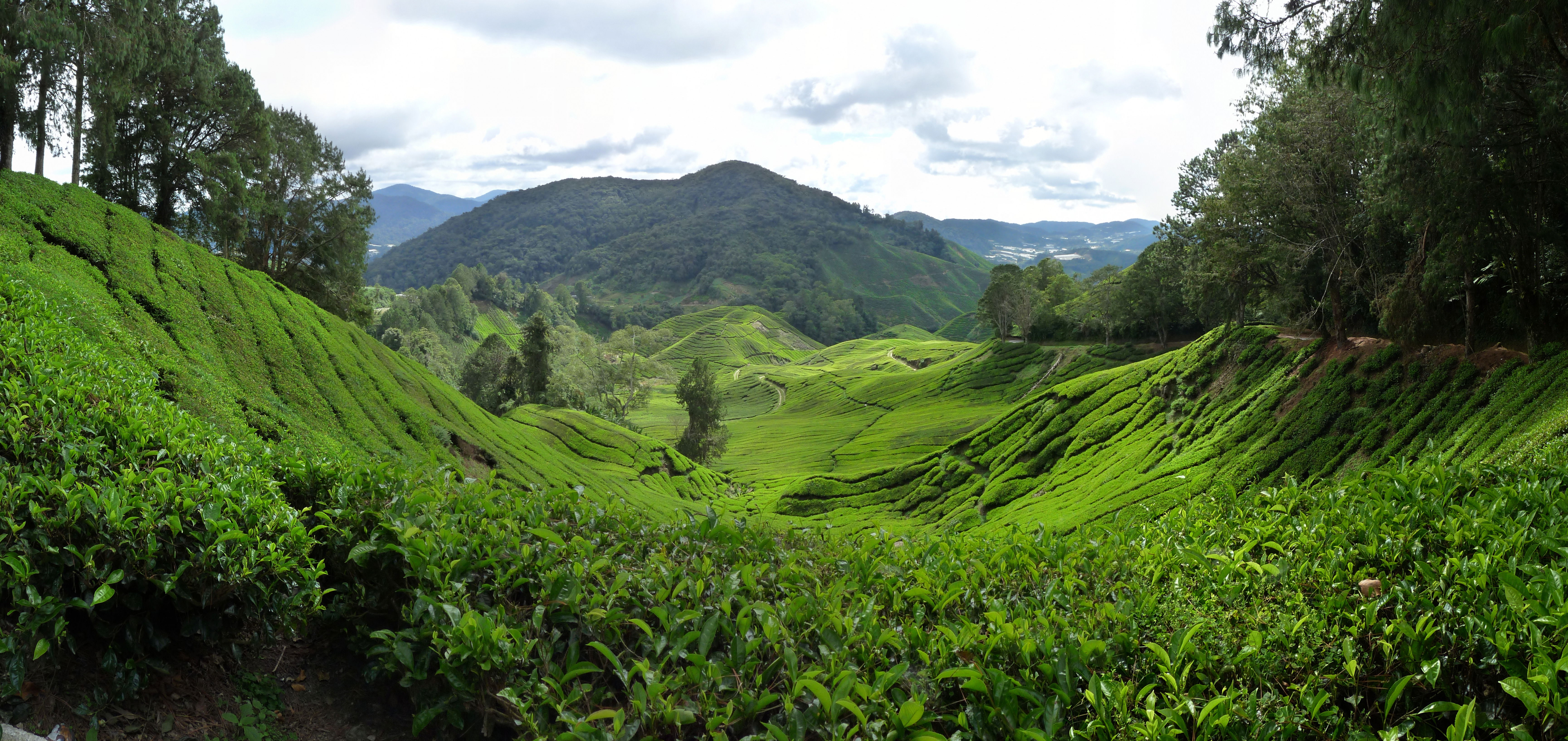 Los 30 mejores lugares para hacer trekking en Asia