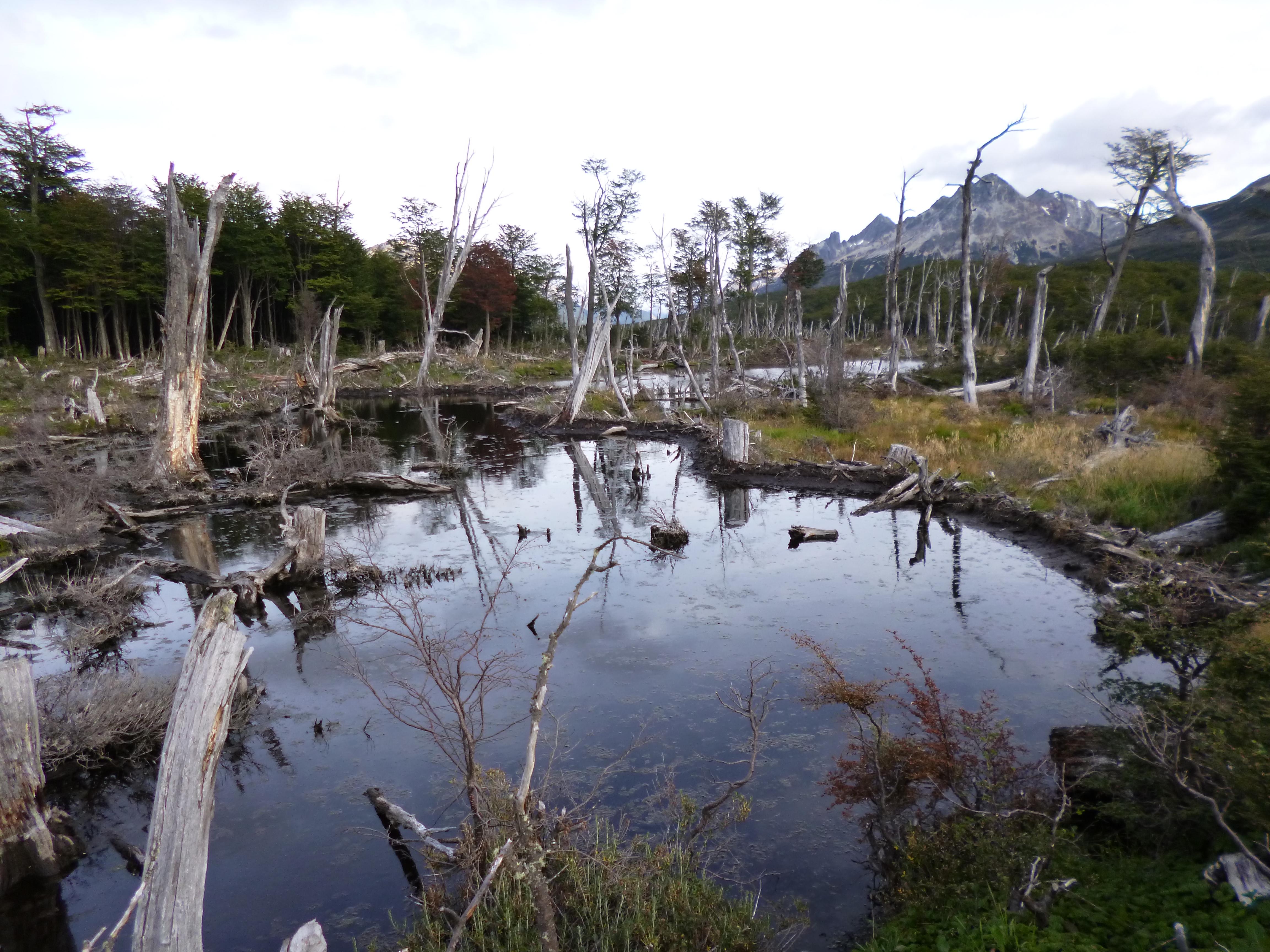 Laguna Esmeralda, por santi