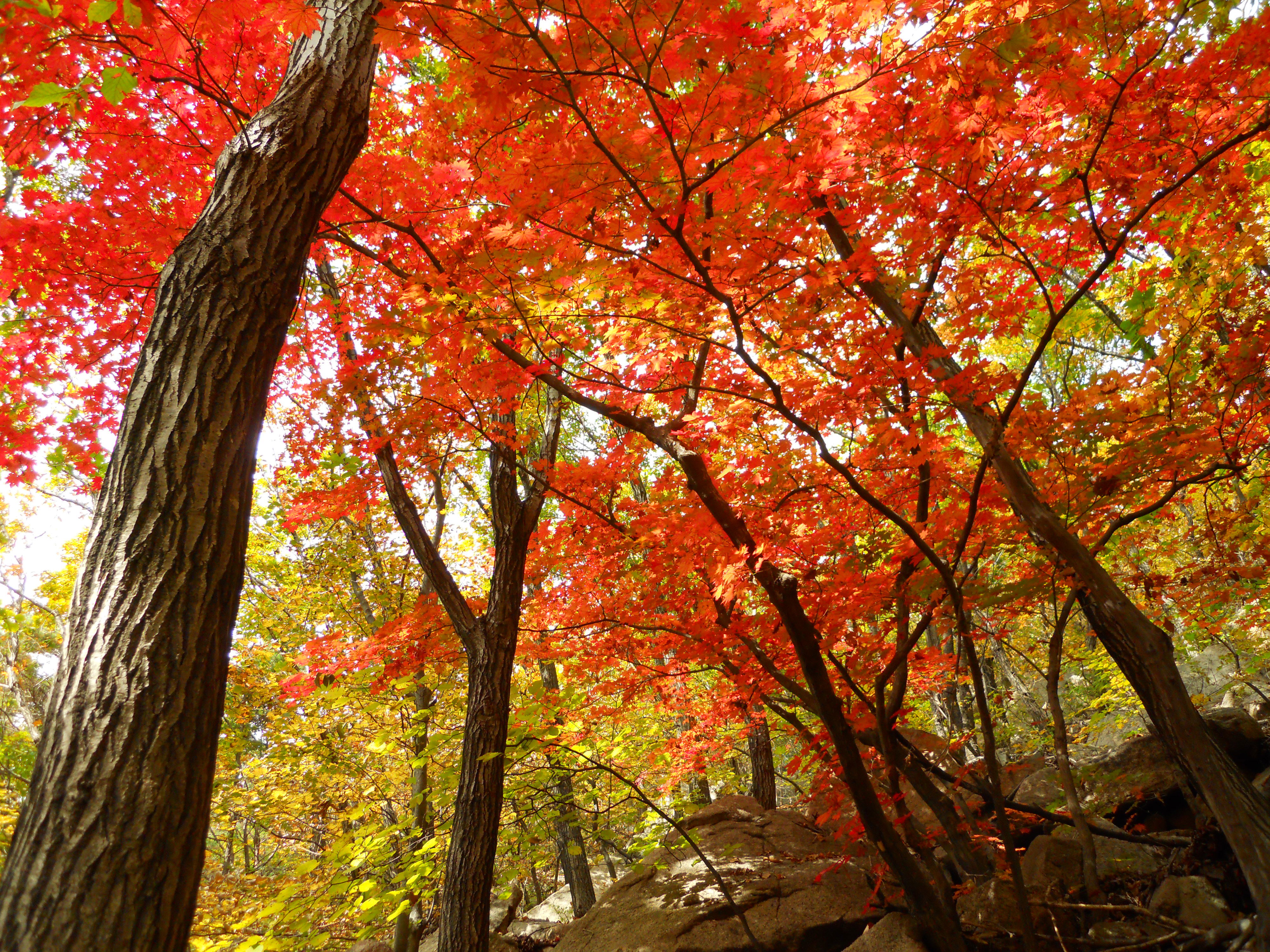 Parque Nacional Bukhansan, por Claireee