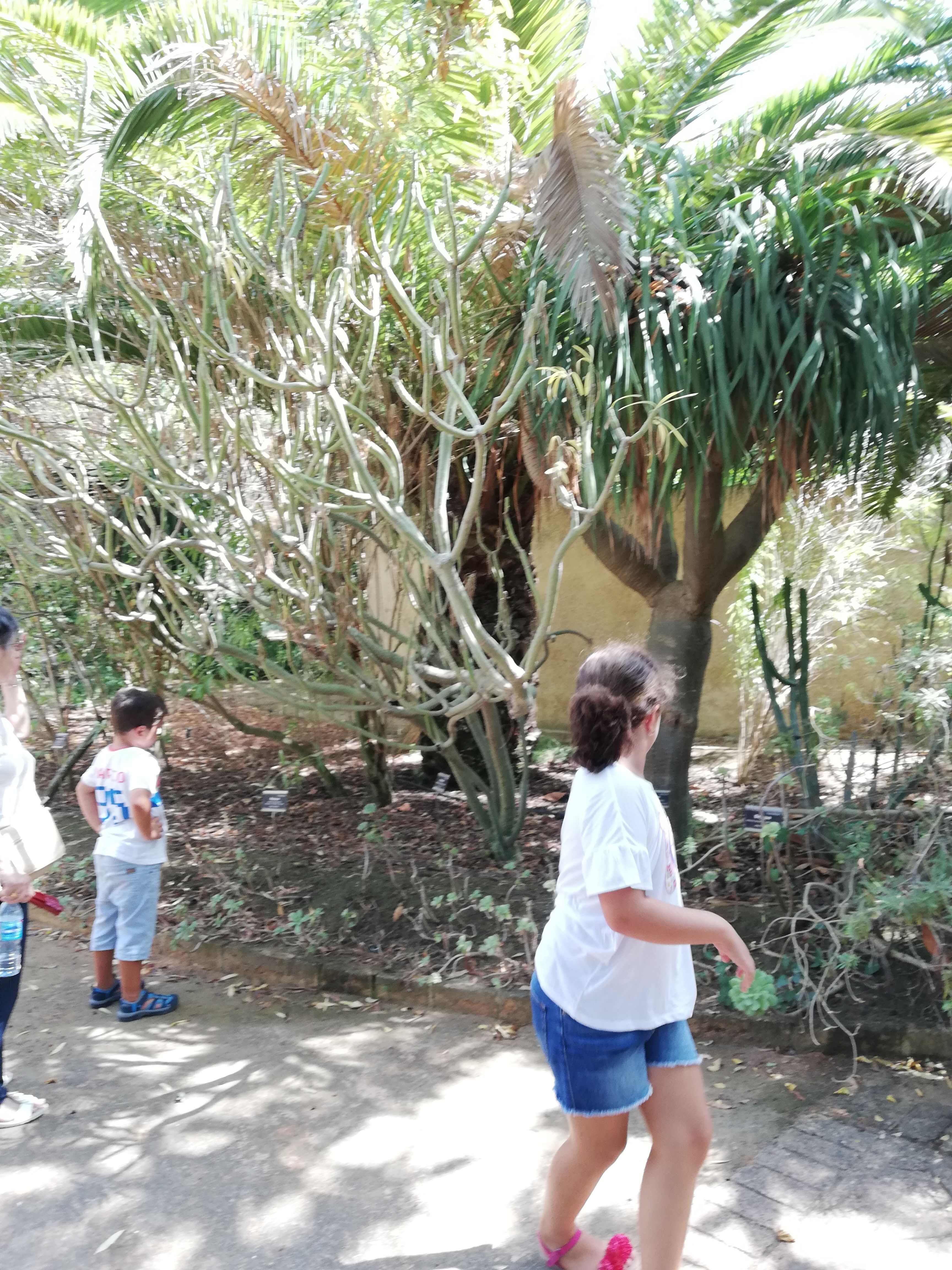 Jardín Botánico de San Fernando, por Adriano Salazar
