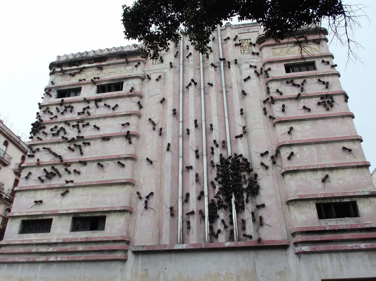 Teatro Fausto, por Julia y Miguel