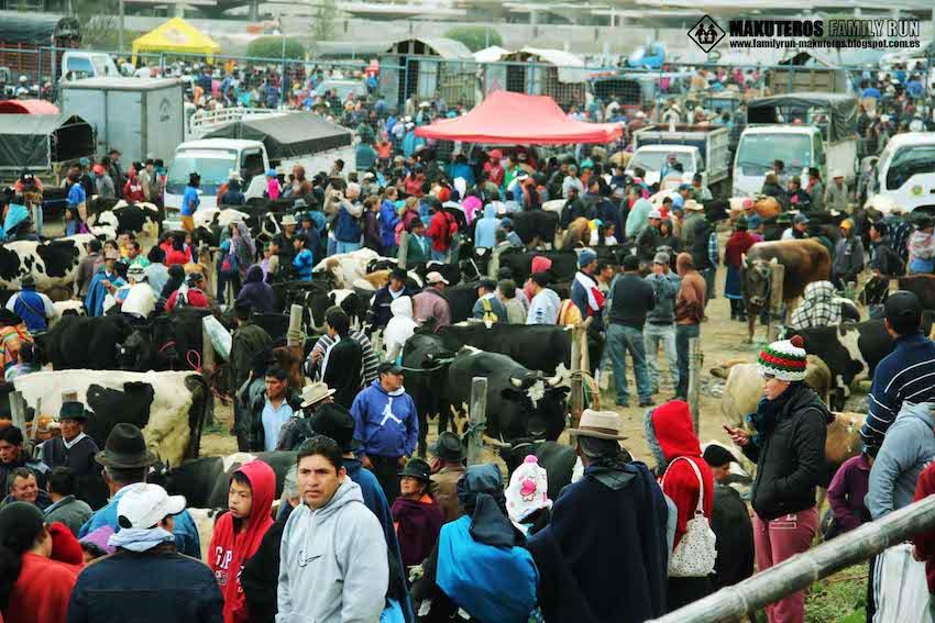 Mercado de Animales de Otavalo, por Makuteros Family Run