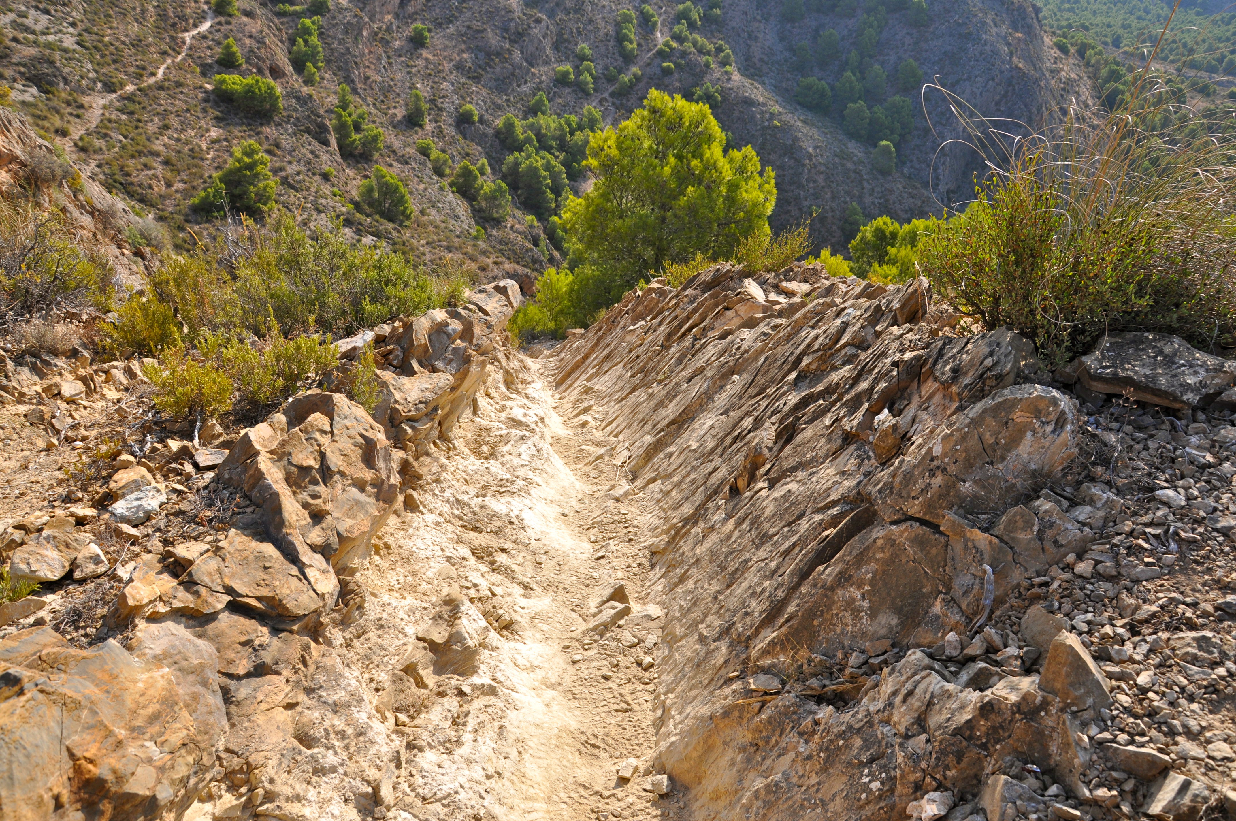 Senderismo en Orihuela: descubre rutas sorprendentes y naturales