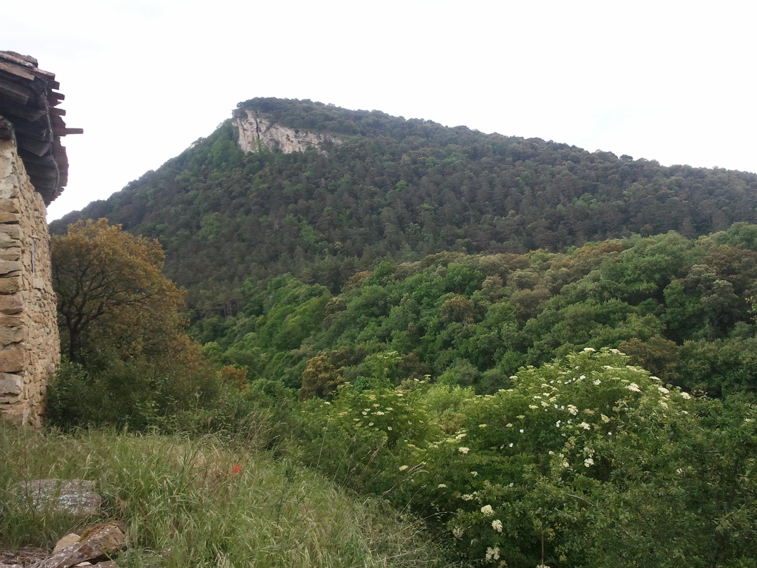 Castros de Lastra, por Colibri