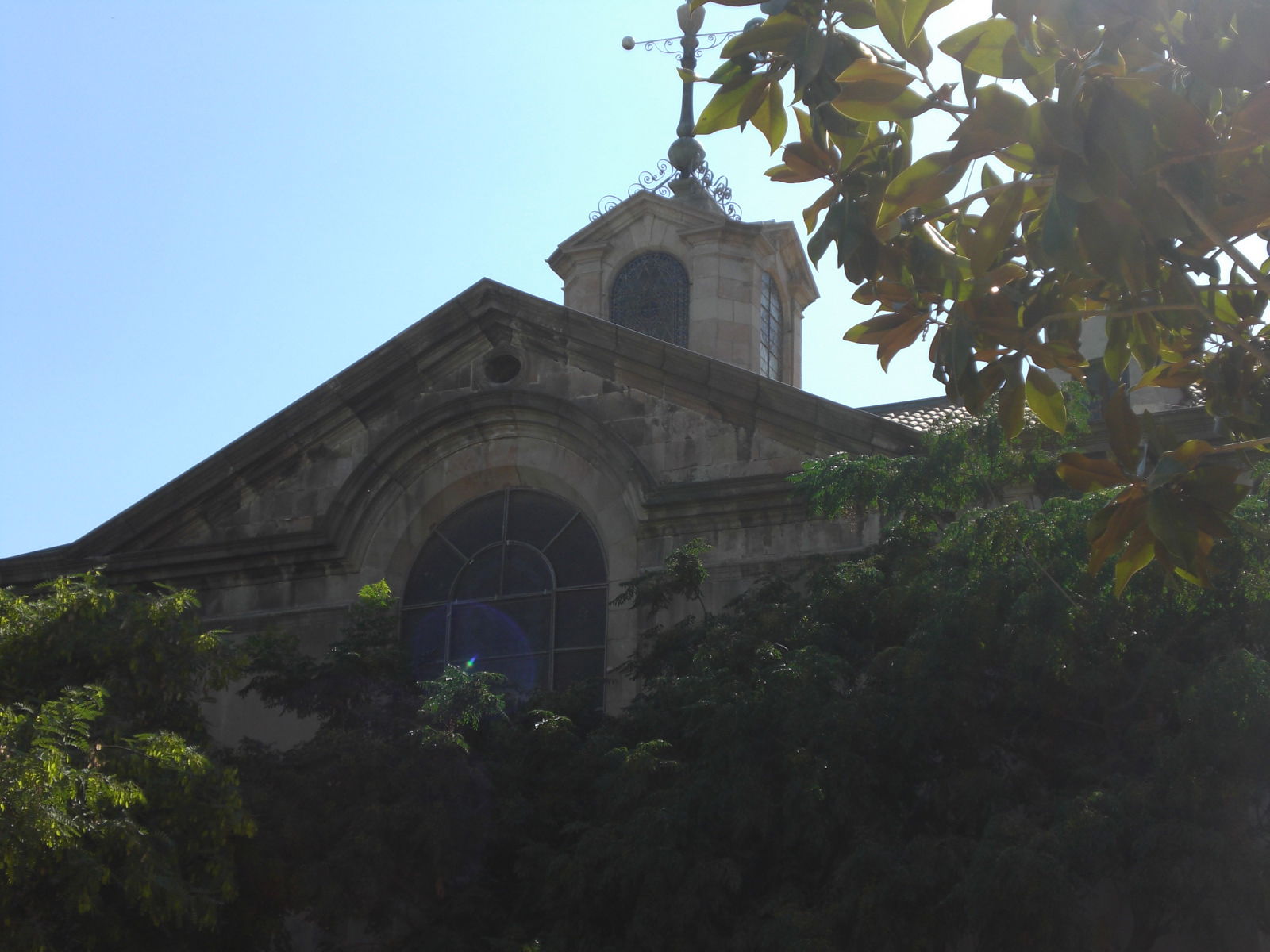 Jardines del Doctor Fleming, por paulinette