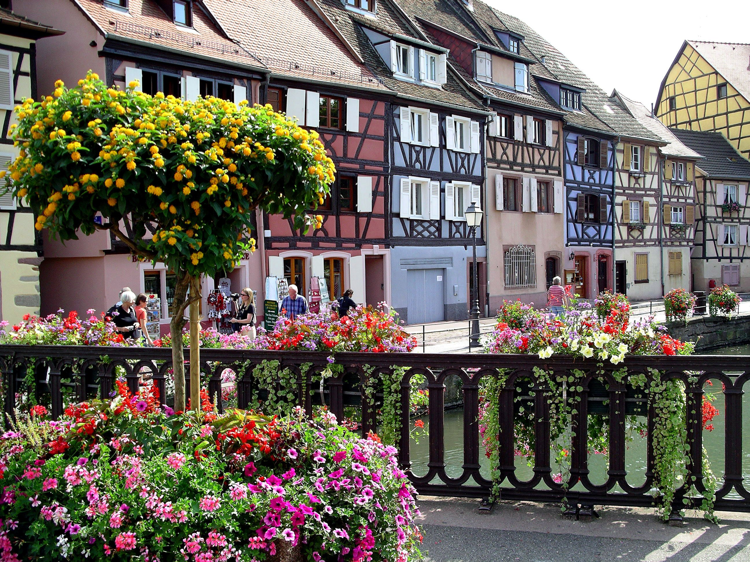 Эльзас. Городок Кольмар Франция. Эльзас город Кольмар. Город Кольмар (регион Эльзас). Кольмар Франция цветы.