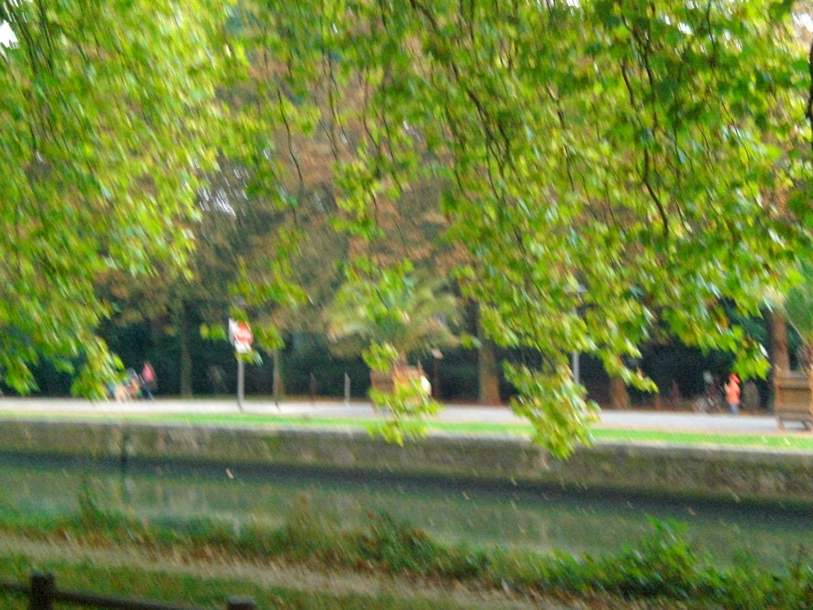 Parque de la ciudadela, por guanche