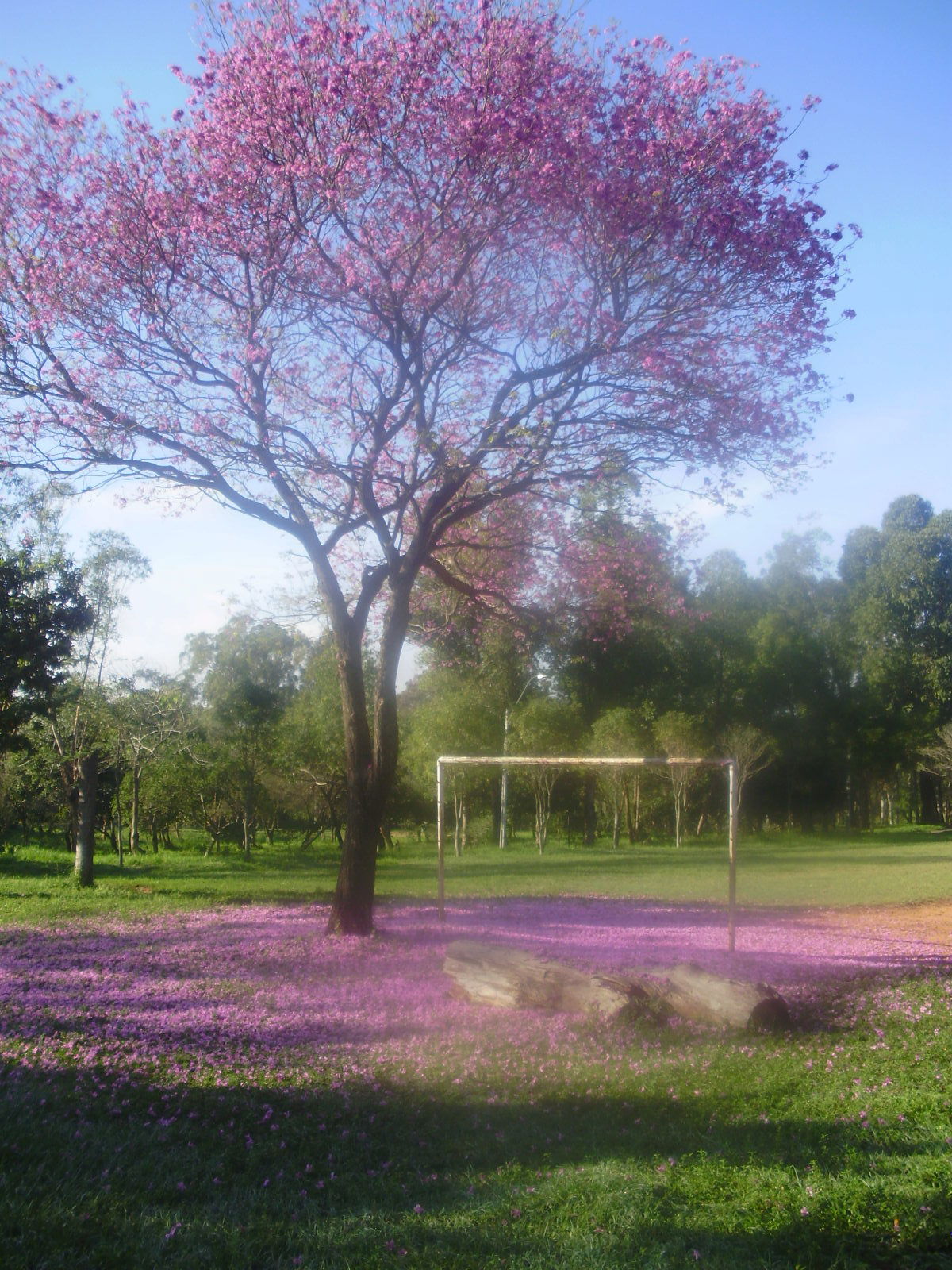 Parque Mburicaó, por kurundu