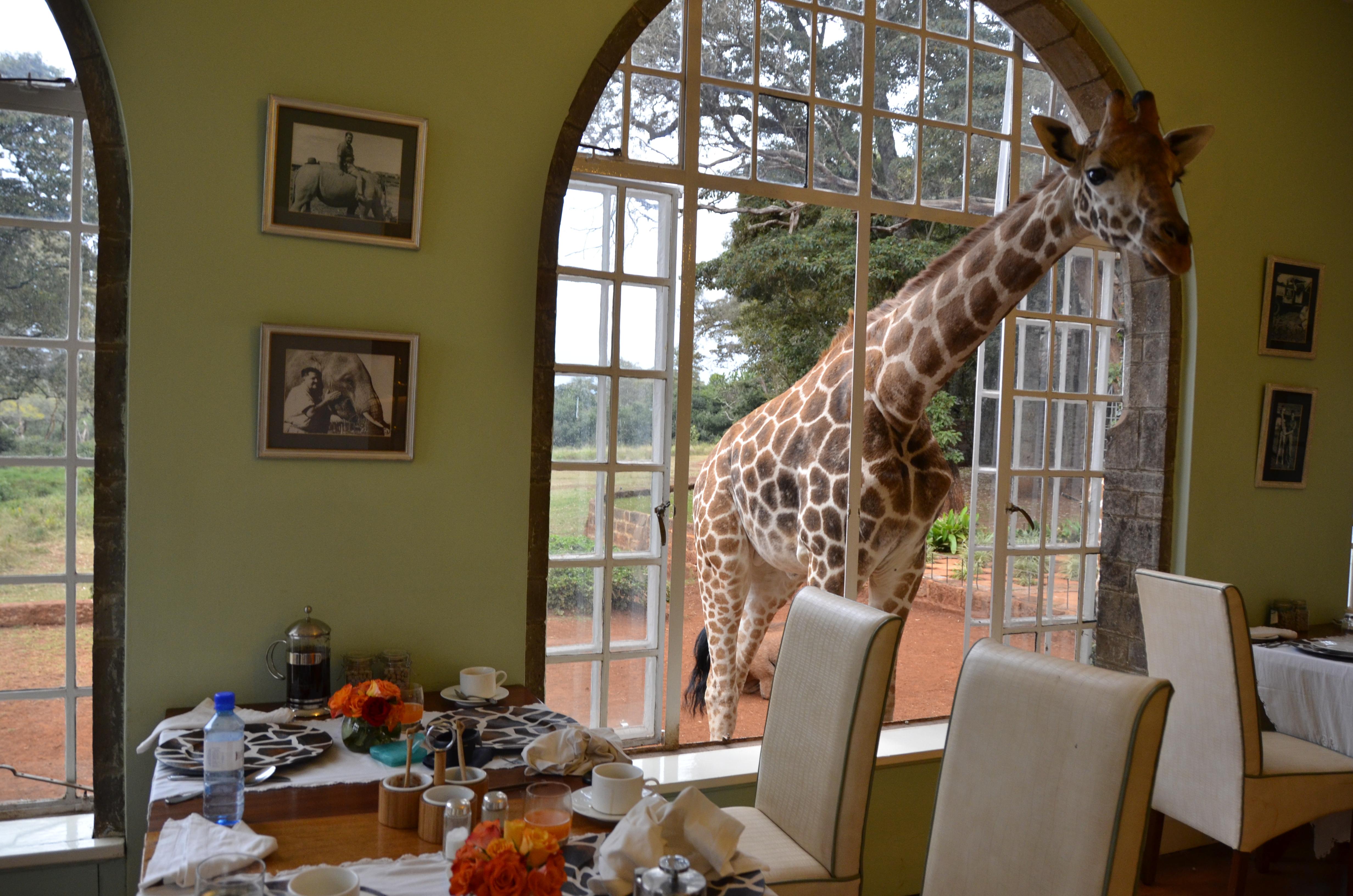 Hotel Giraffe Manor, por Elisa Suñer