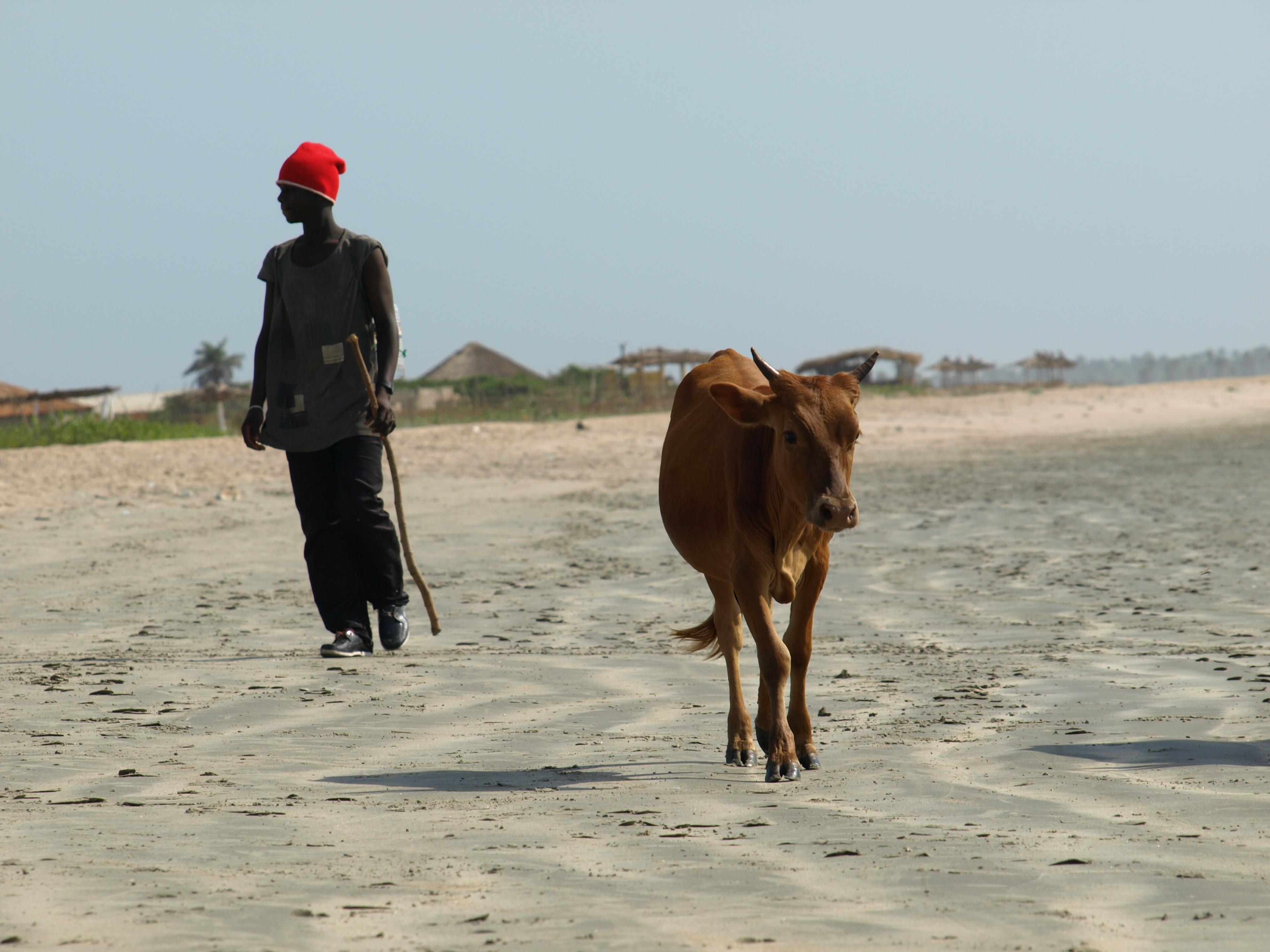 Playas en Gambia: Descubre el Paraíso Costero Africano