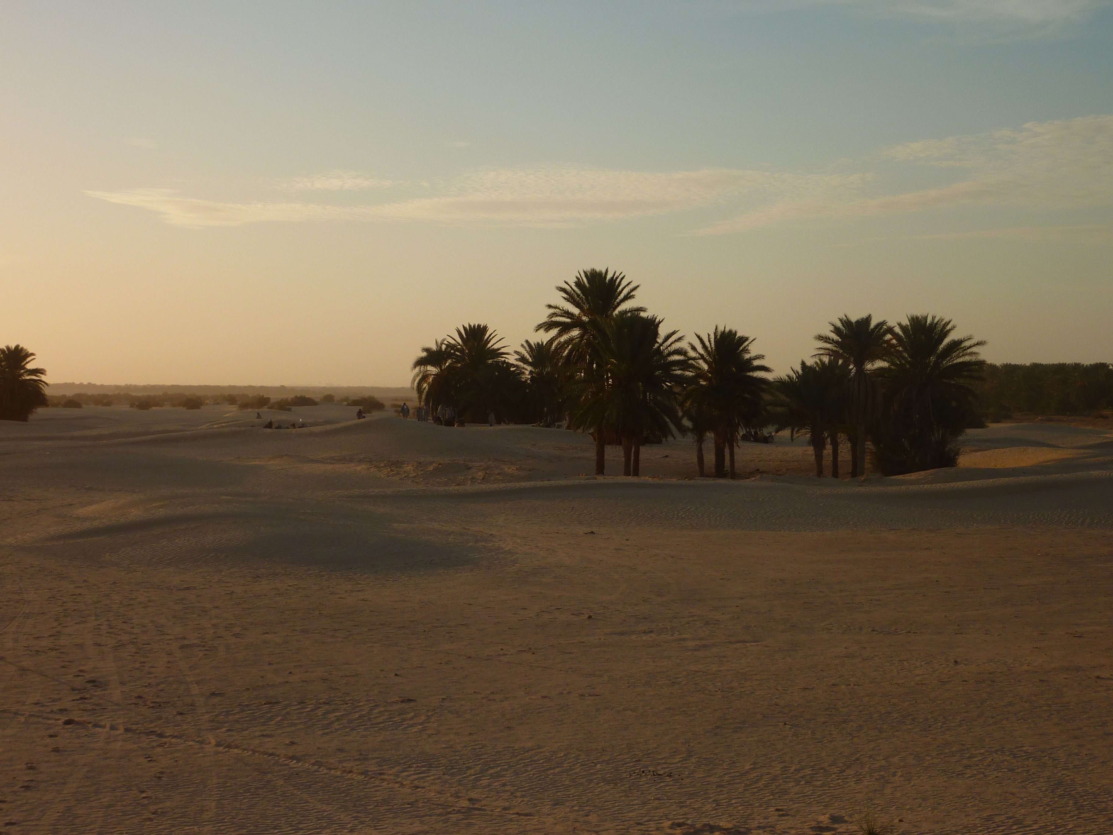 Desiertos de Túnez, un viaje entre dunas y oasis cautivadores