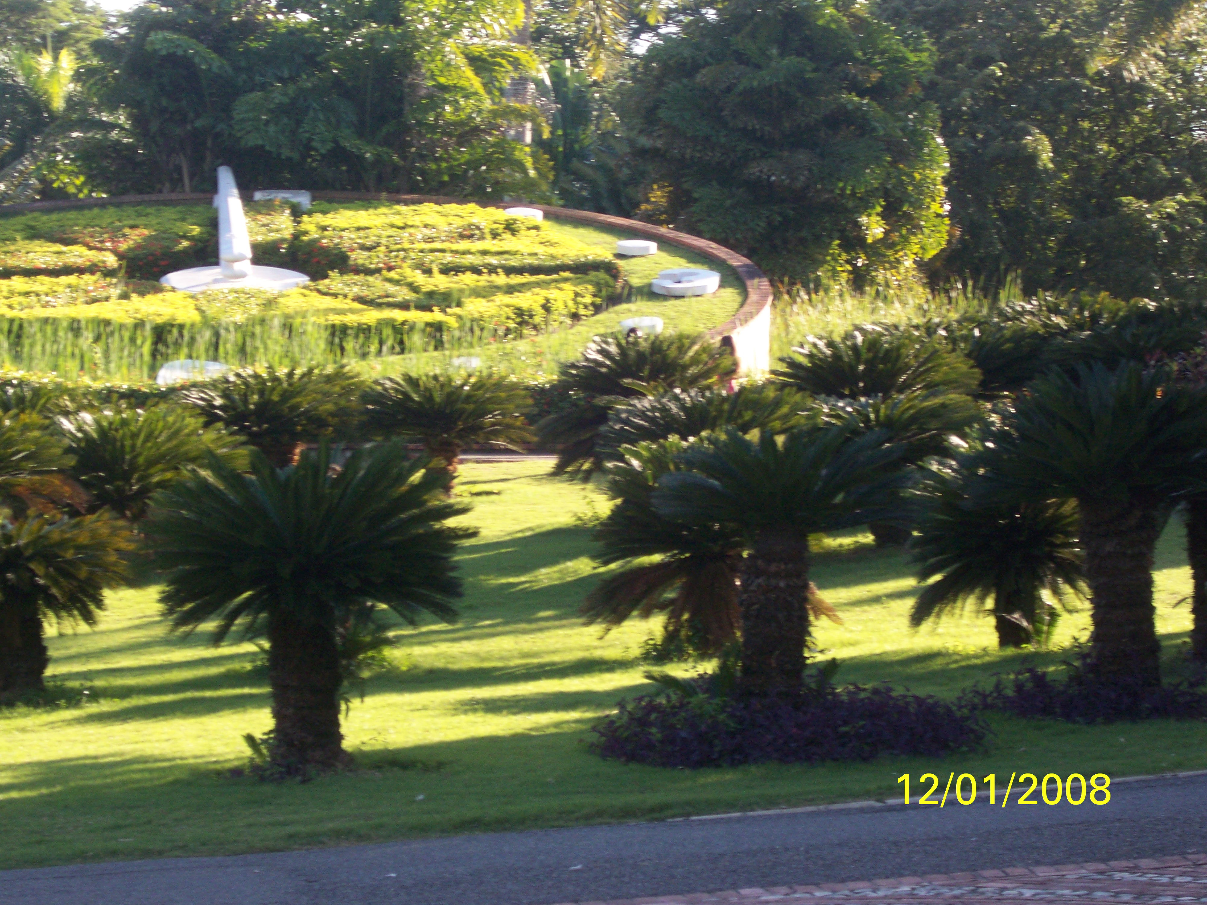 El jardin botánico, El Malecón, por altagracia ramirez 