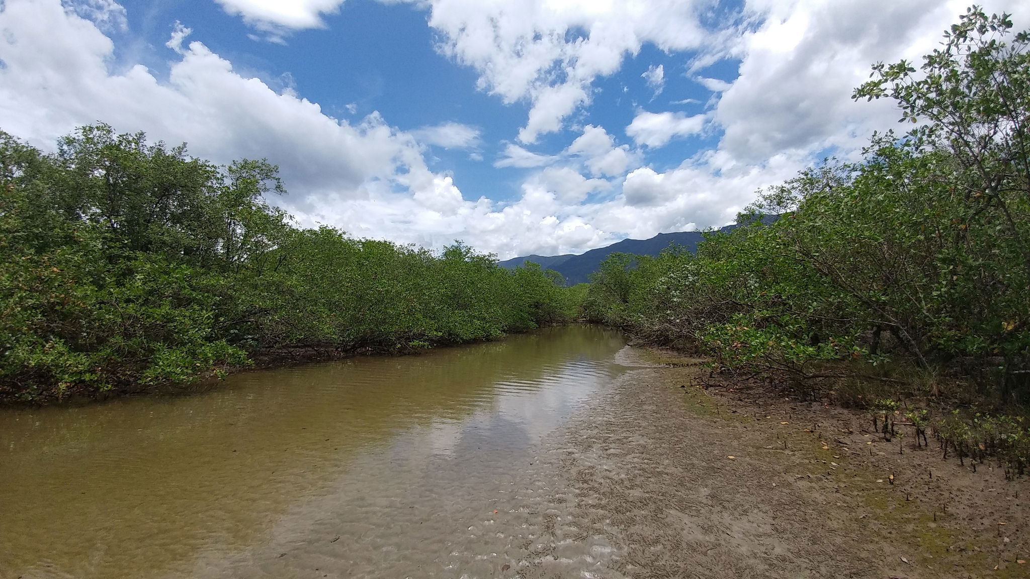 Delta del Rio Escuro, por Leo Araújo