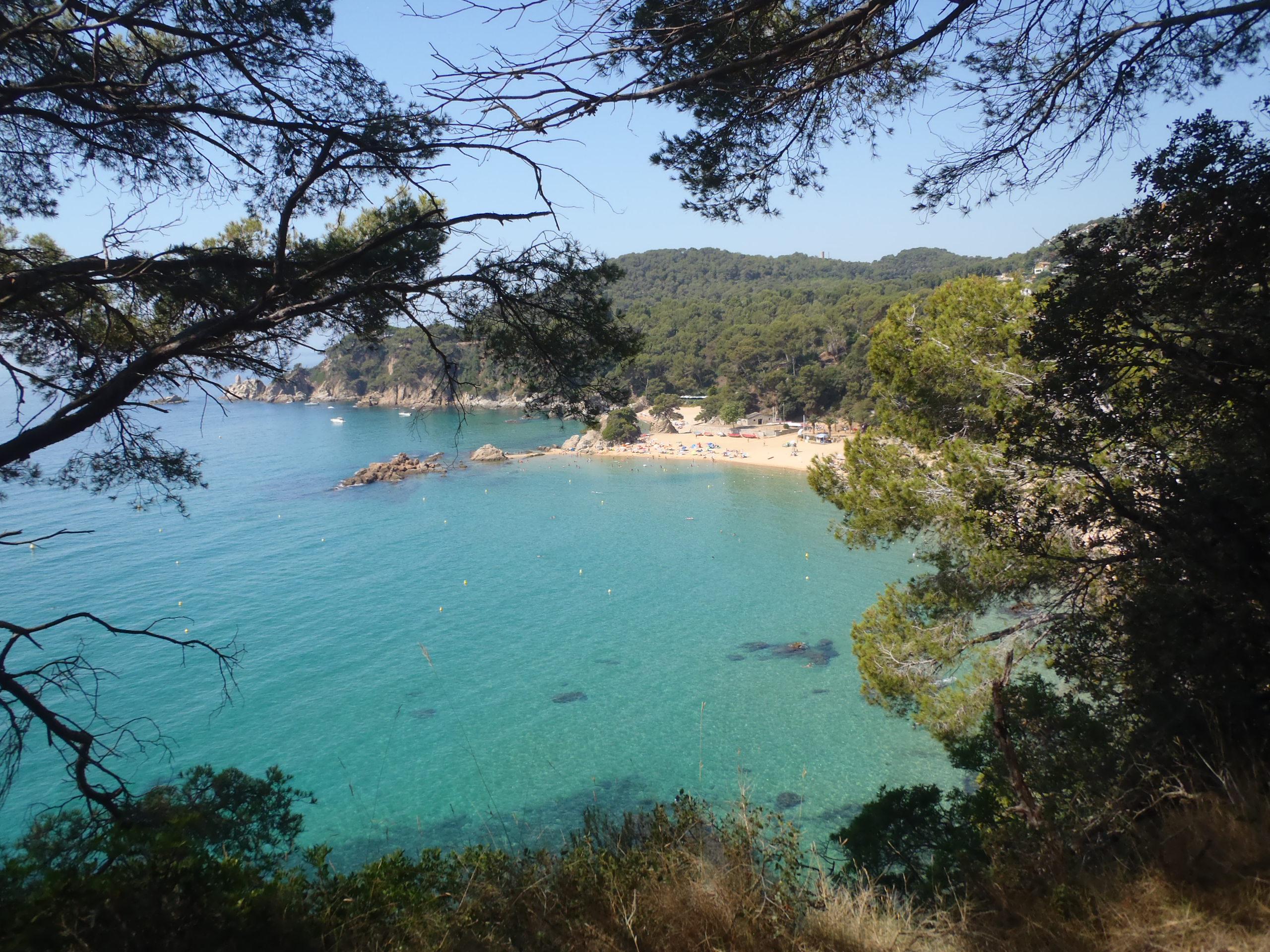 Camino de la cala de Banys a cala de Santa Cristina, por Amaya Velasco