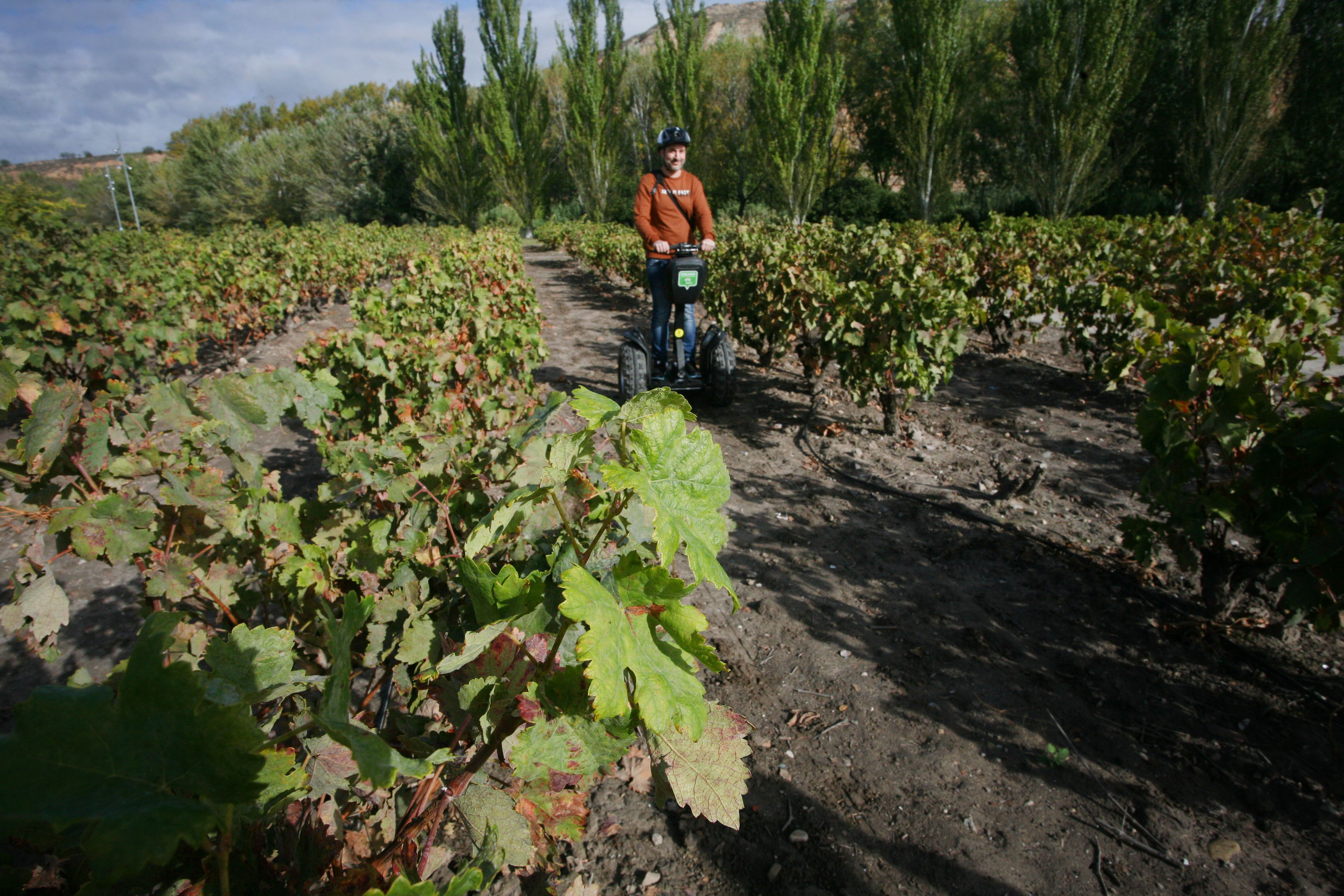 Aire libre en Logroño: descubre experiencias únicas en la naturaleza