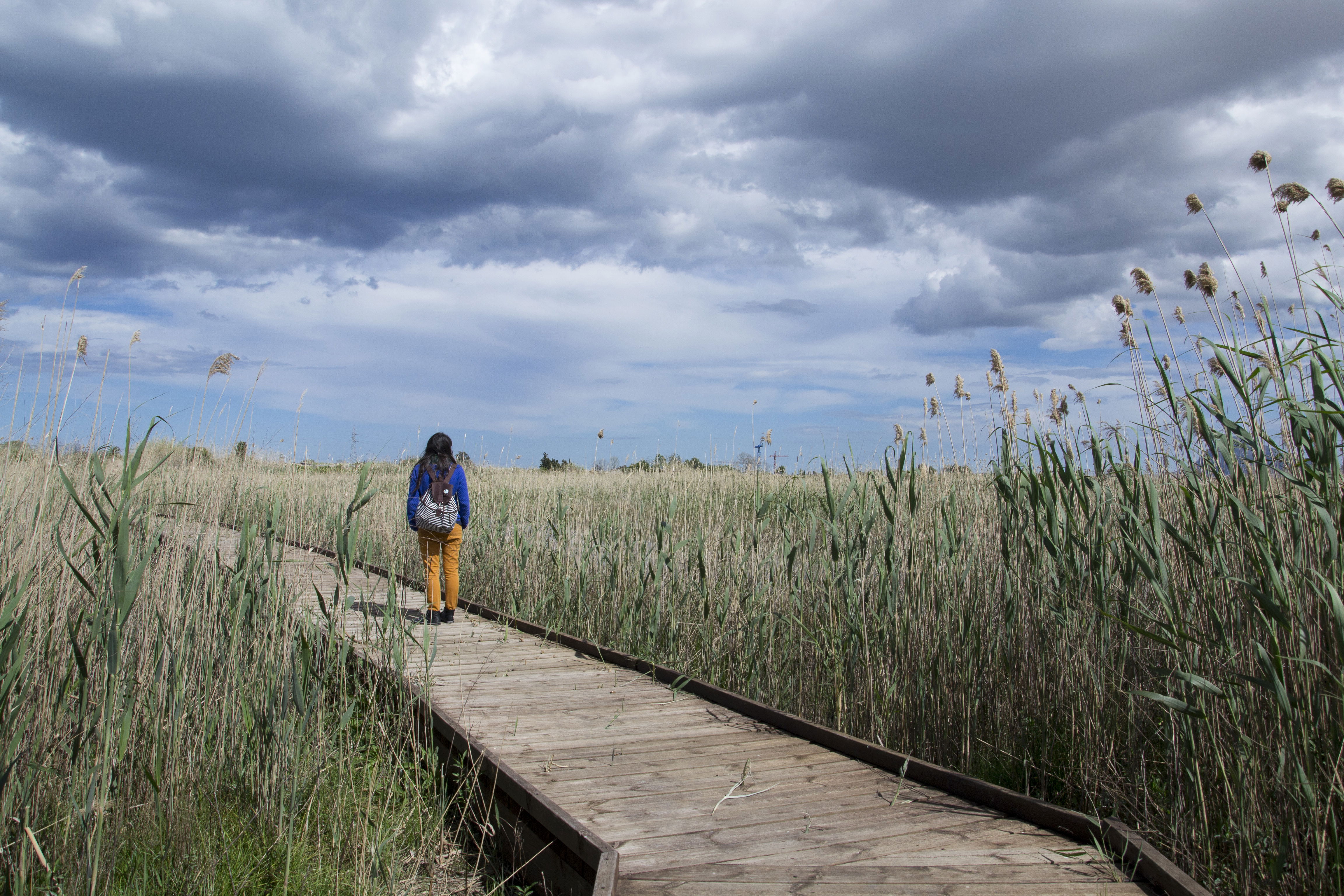 Parque Natural del Marjal Pego-Oliva, por Pablo Castellano Mas