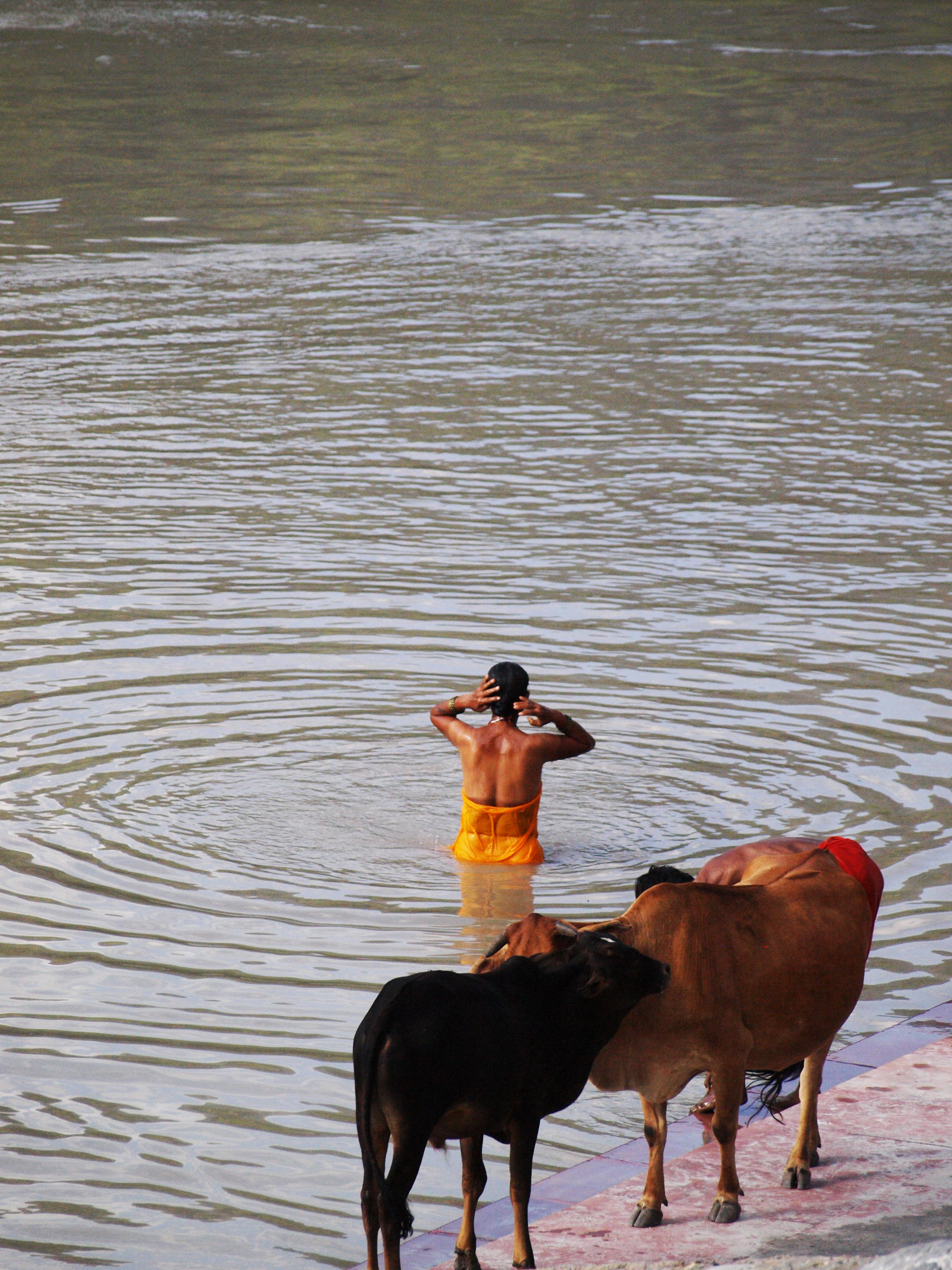 El Ganges, por Cristina E Lozano