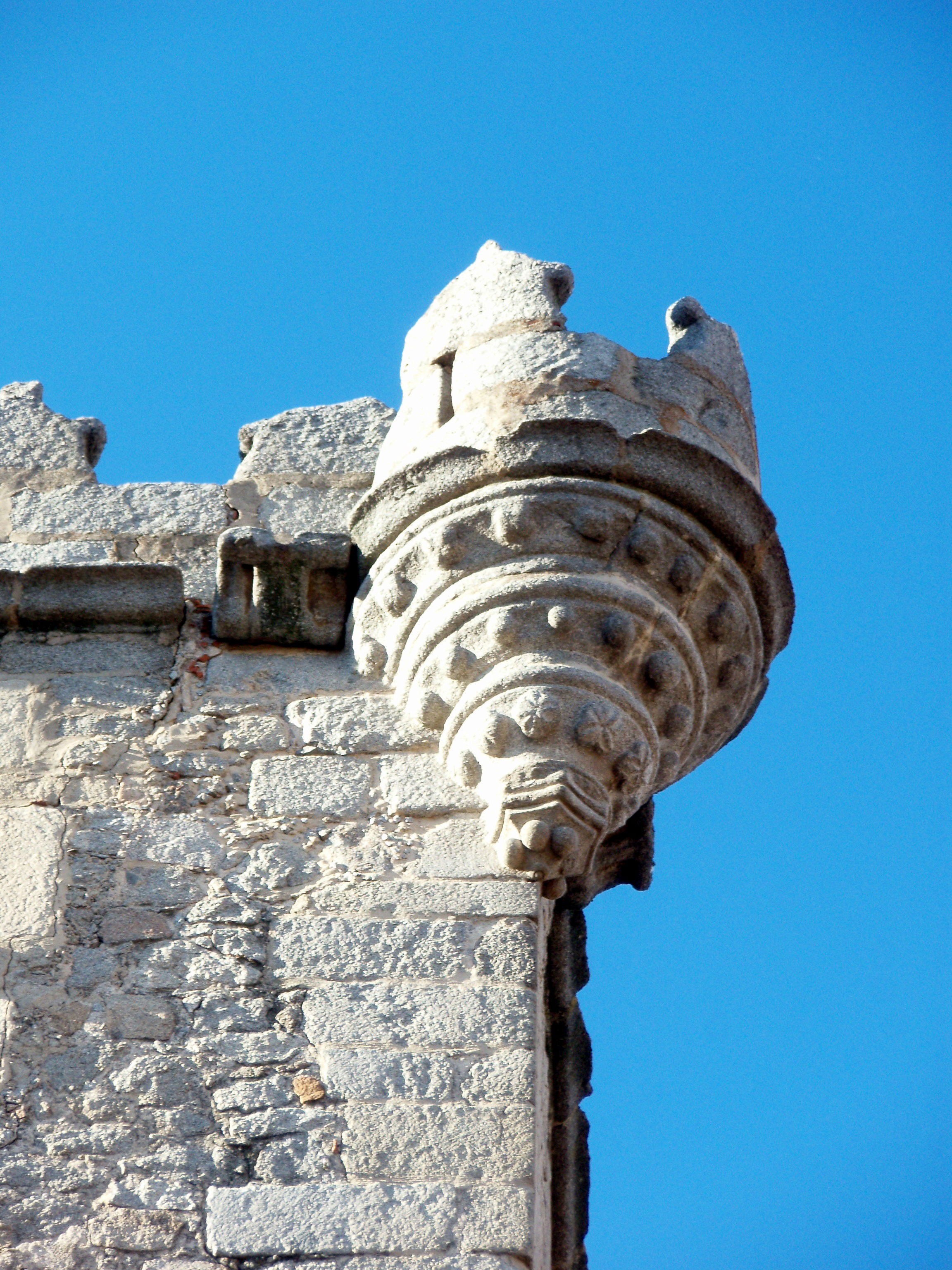 Torreón de los Guzmanes, por Joxu