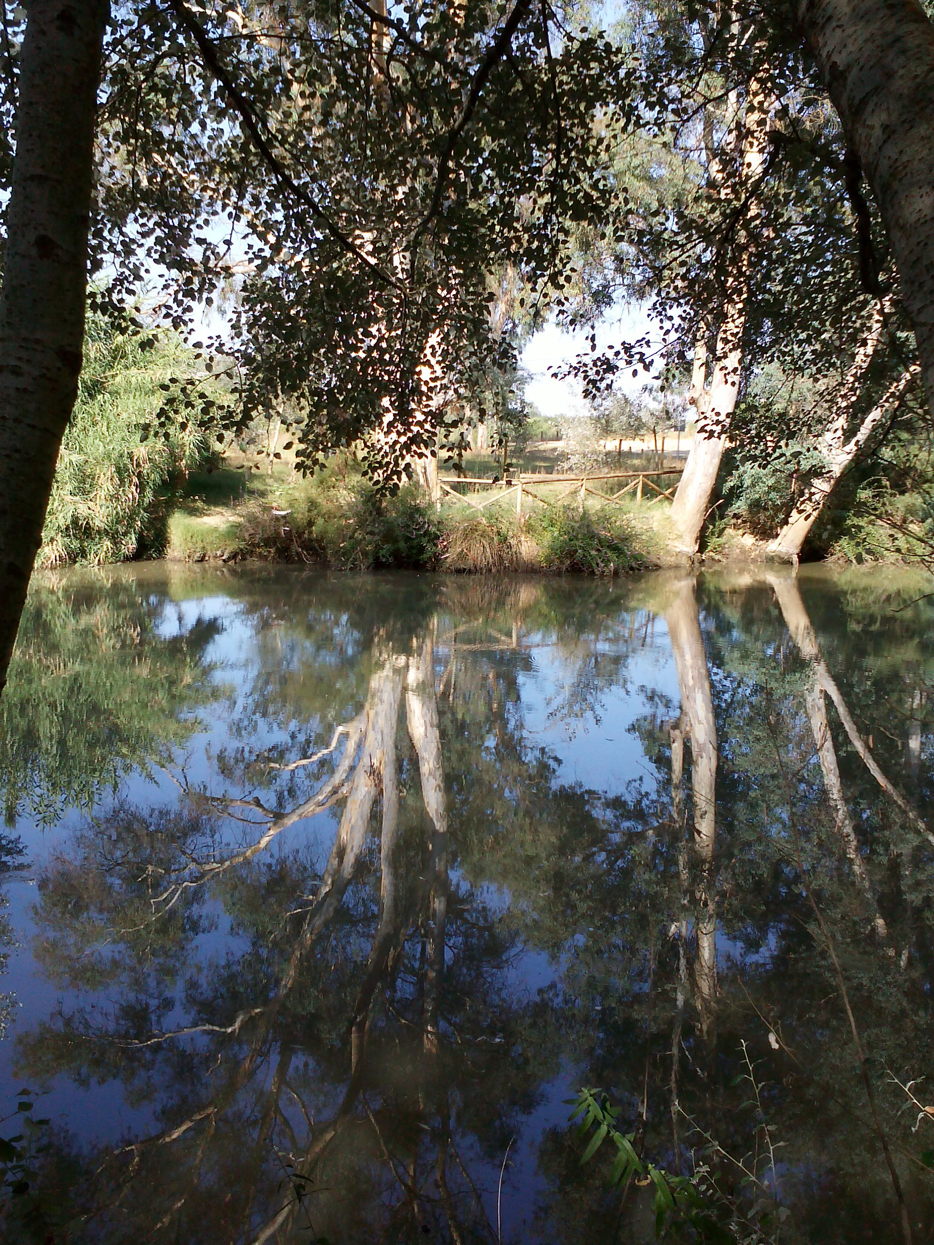 Corredor Verde del Río Guadiamar, por jose luis oviedo