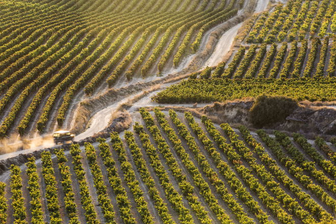 Bodega Y Viñedos Solabal, por La Rioja