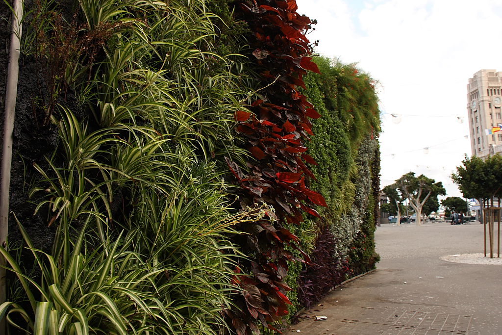 Jardin Vertical de Patrick Blanc, por nuria