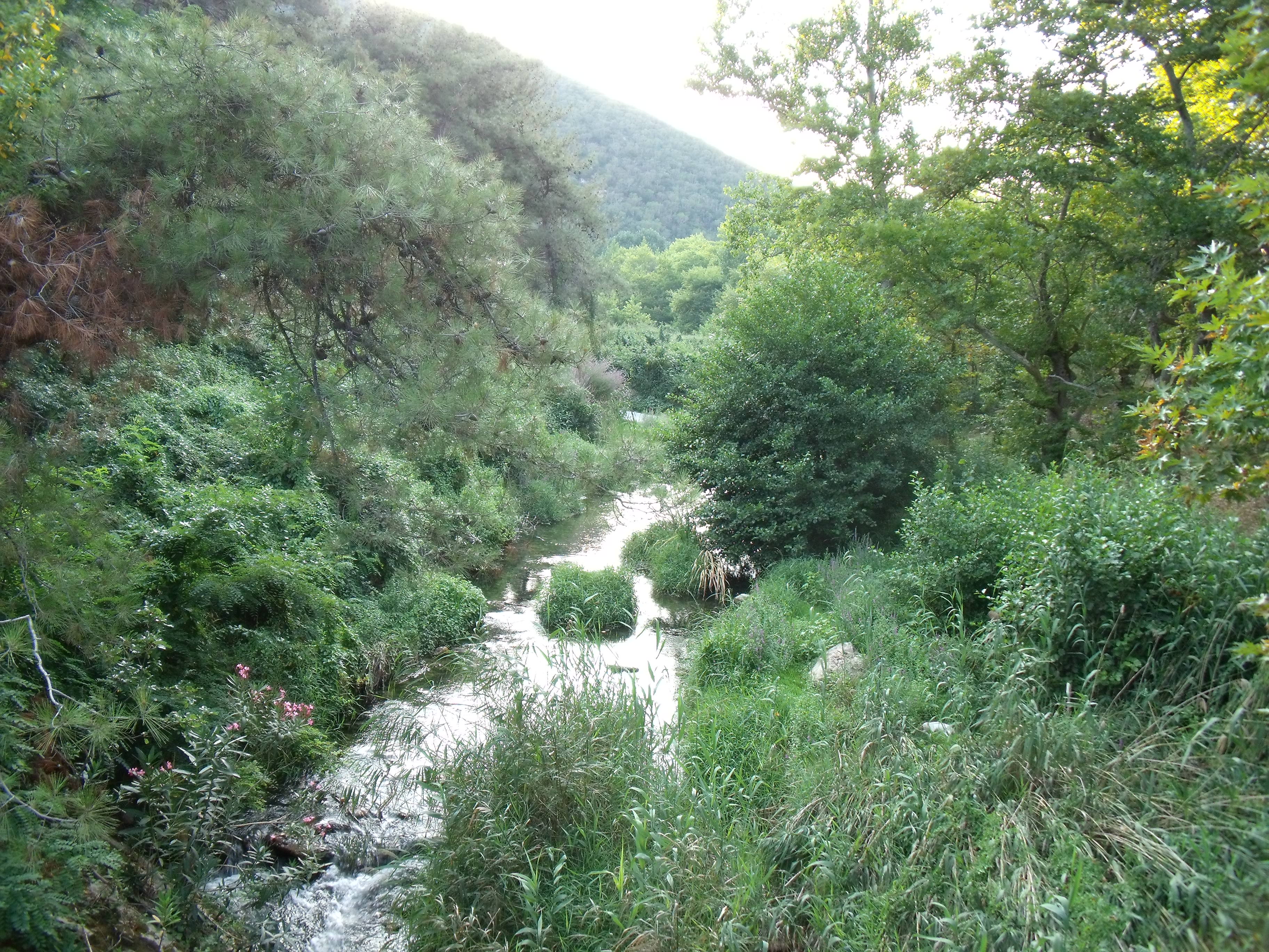 Aguas termales, por txominn