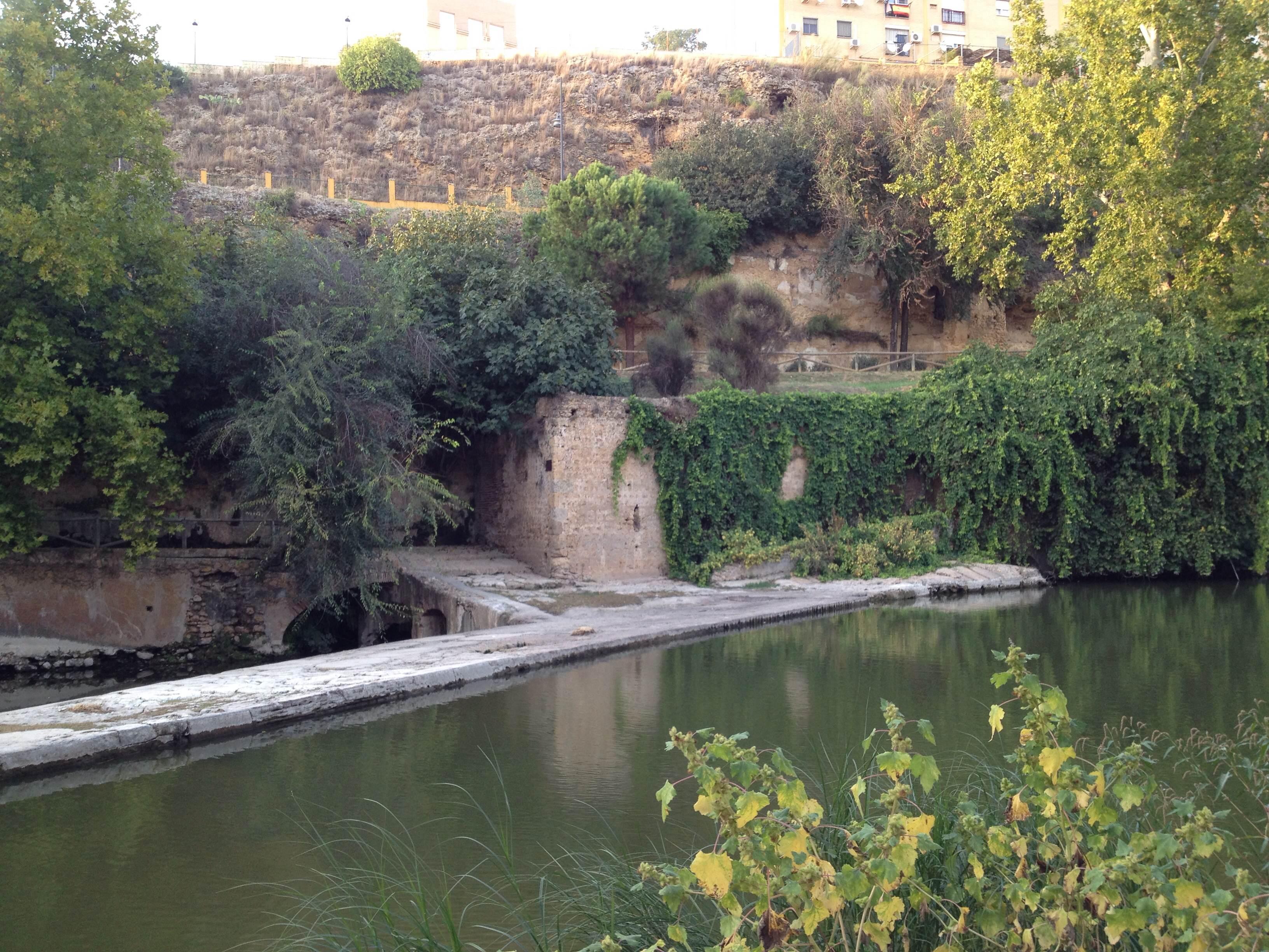 Aire libre en Alcalá de Guadaira, un paraíso natural para explorar