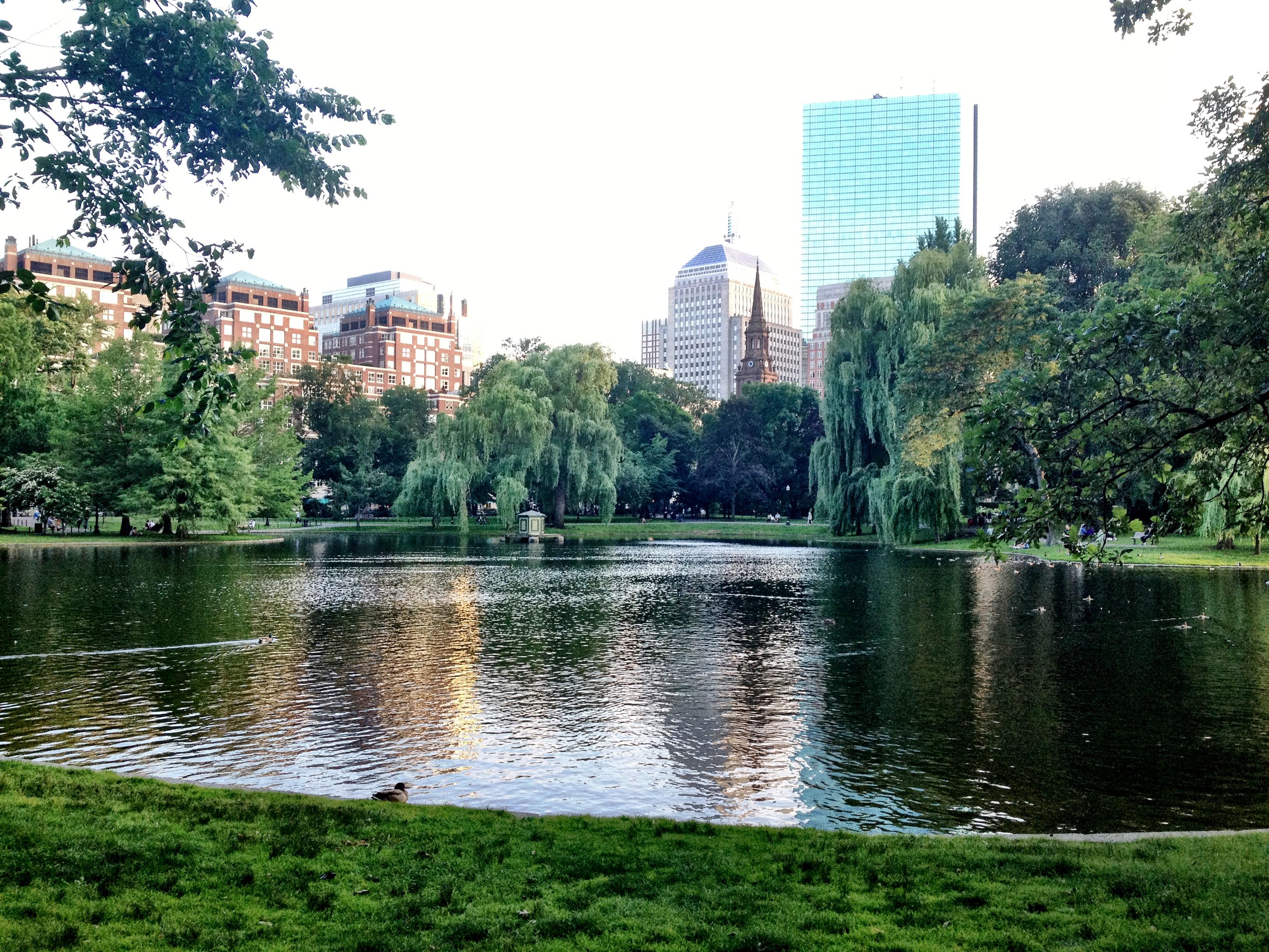 Boston Public Garden, por Arturo Serrano