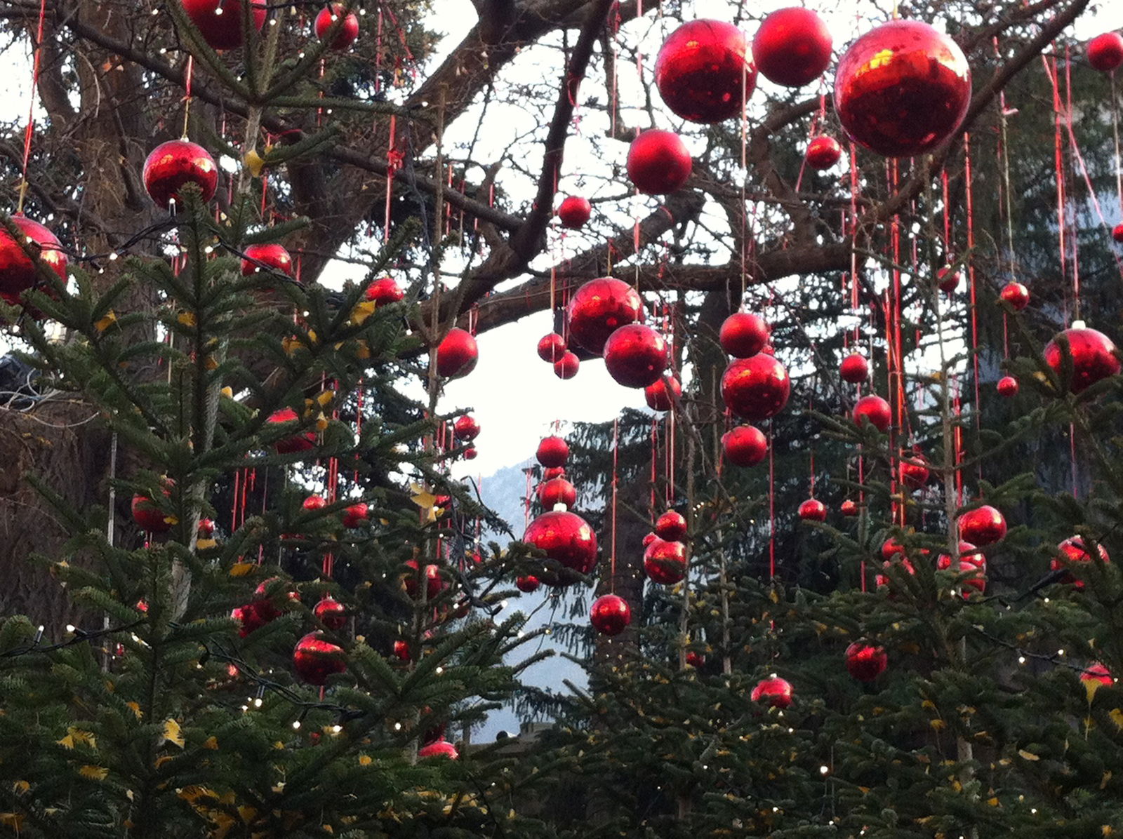 Mercadillo de Navidad de Bolzano, por romina ghidoni