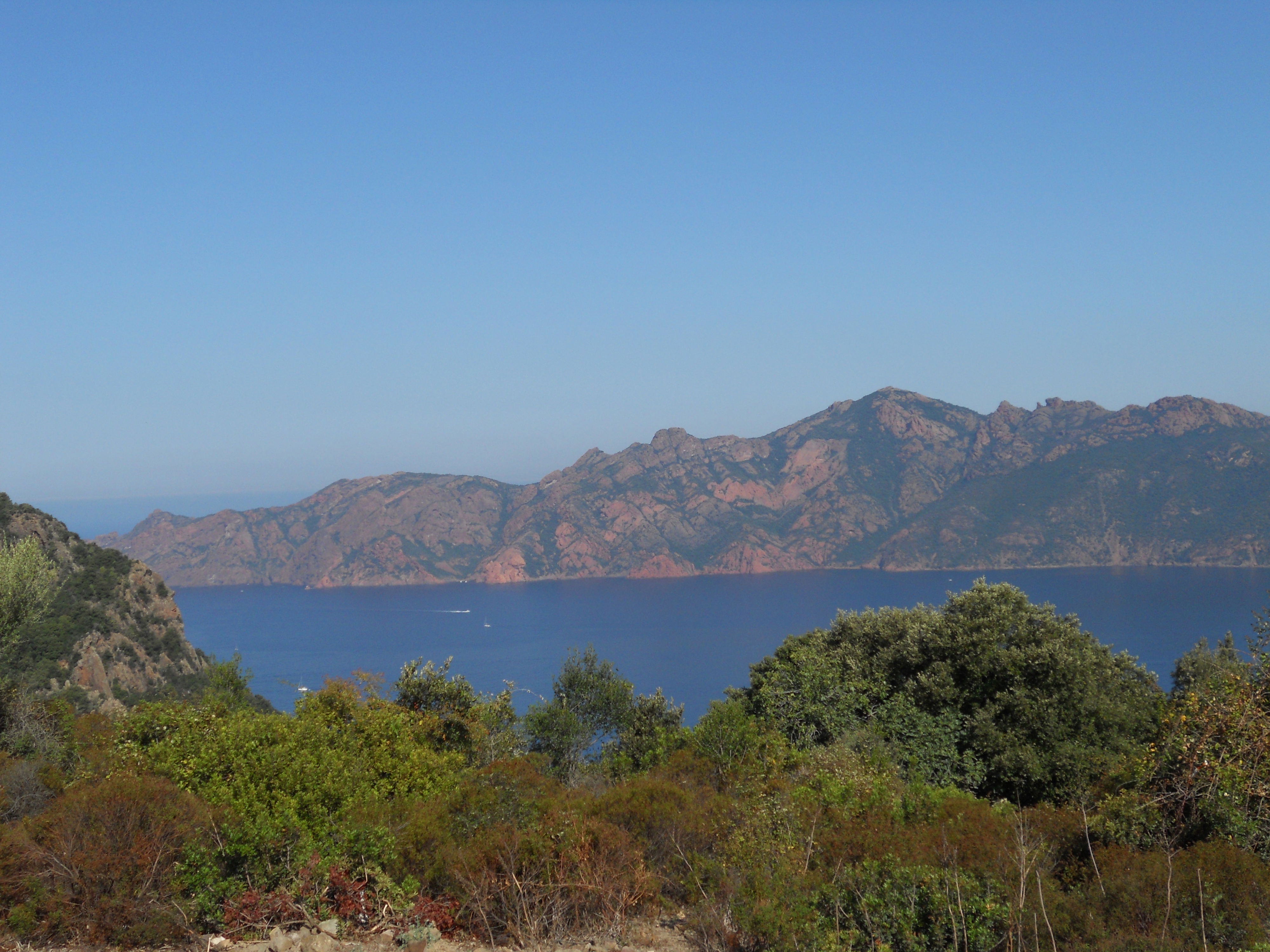 Golfo de Porto, por Coline