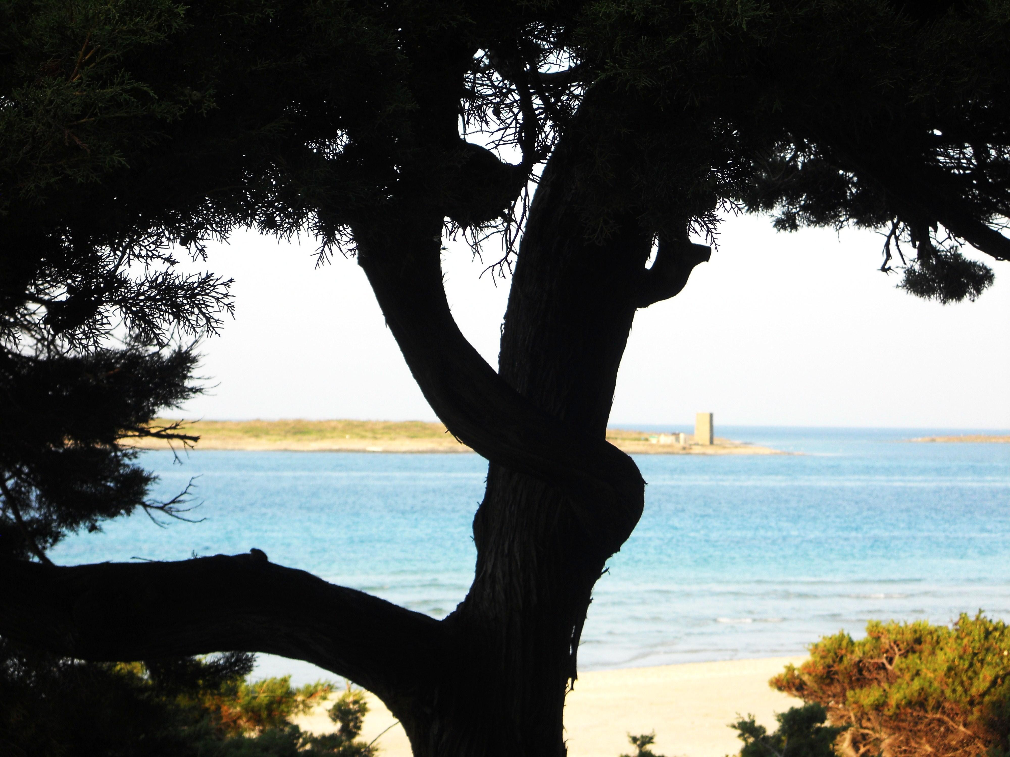 Playa de la Pelosa, por malomax82