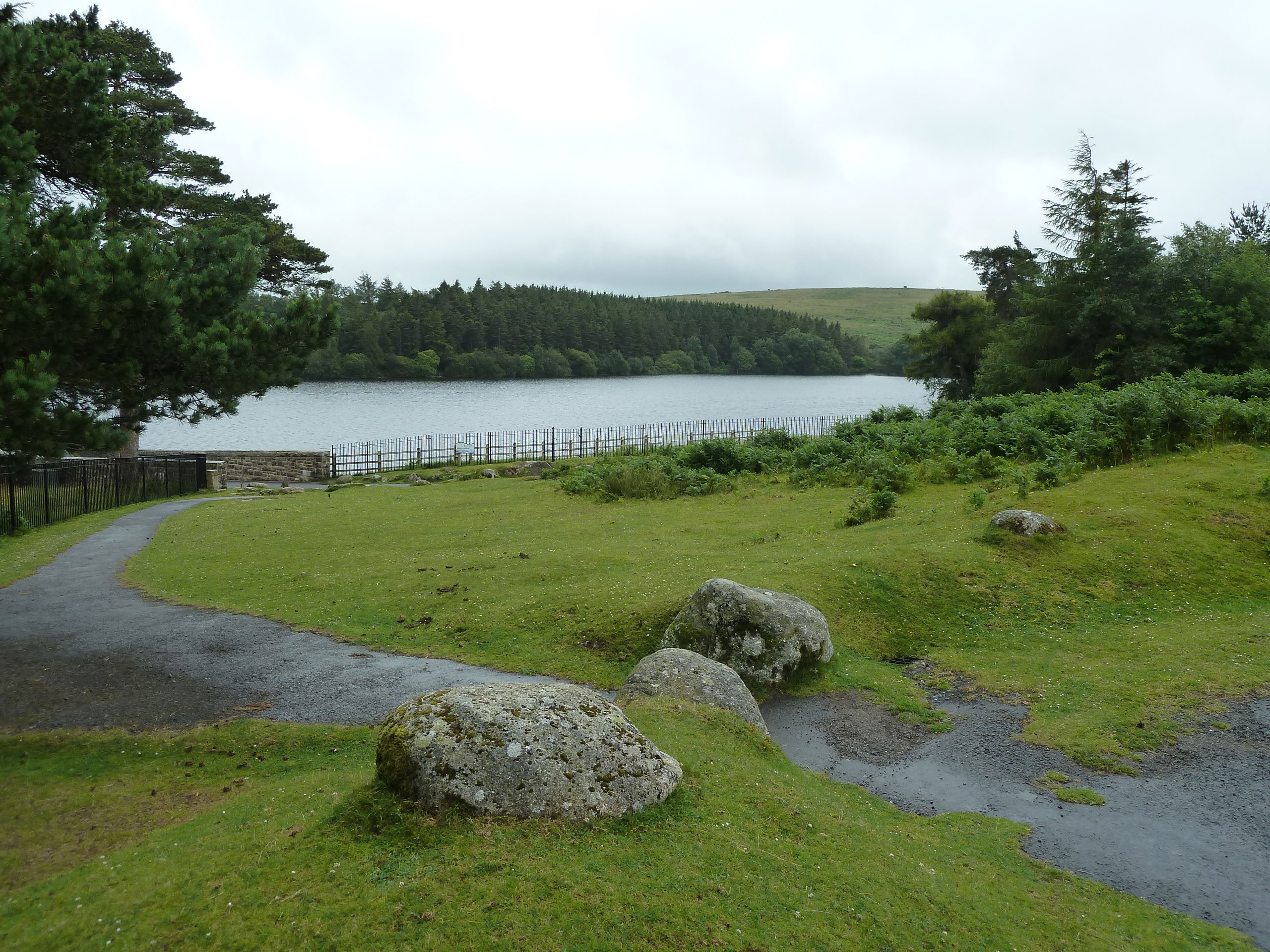 Parque nacional Dartmoor, por Cédric Lebailly