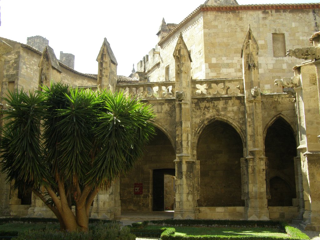 Catedral de Narbona, por nuria