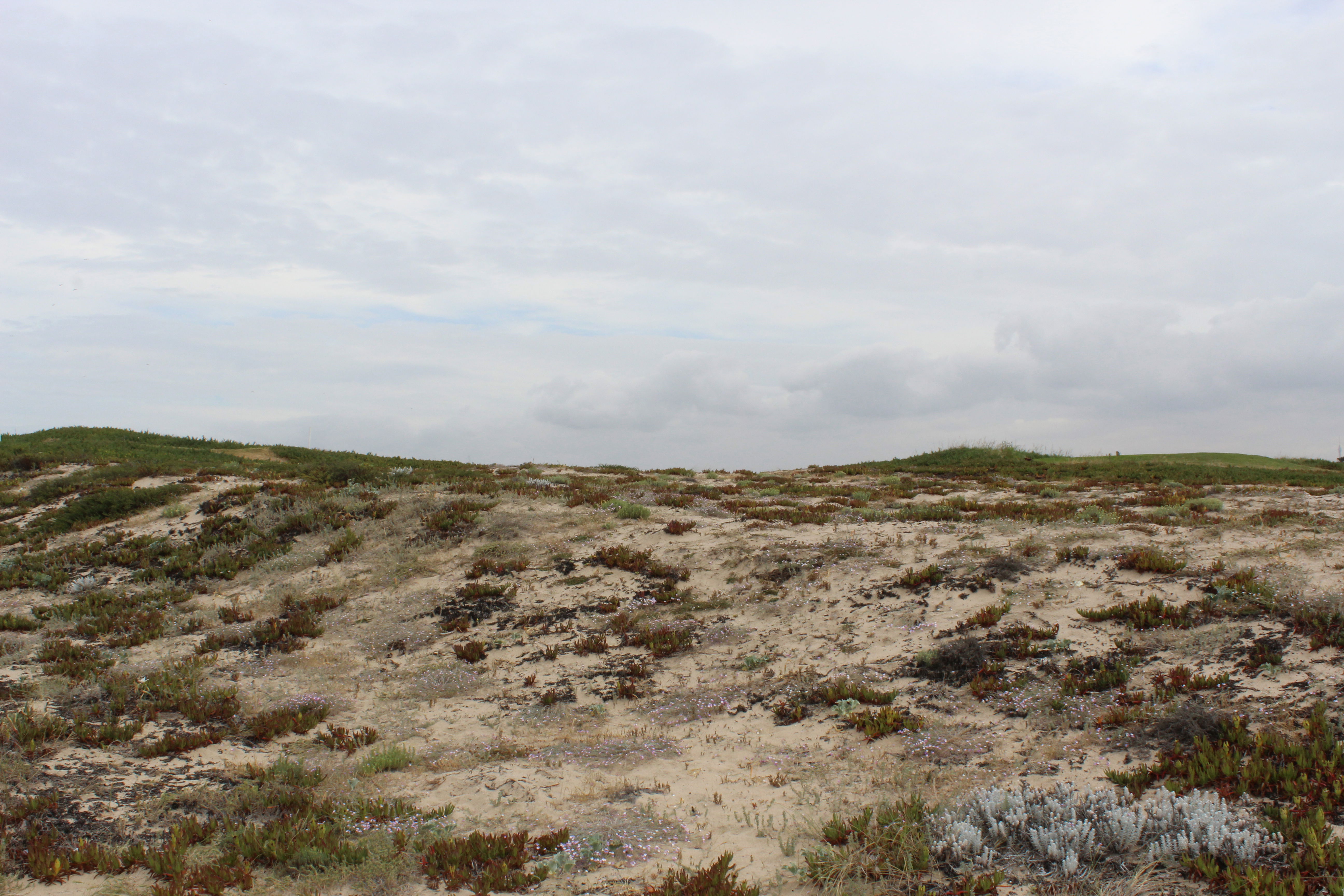 Parque de Dunas de Aguda, por Nuria G