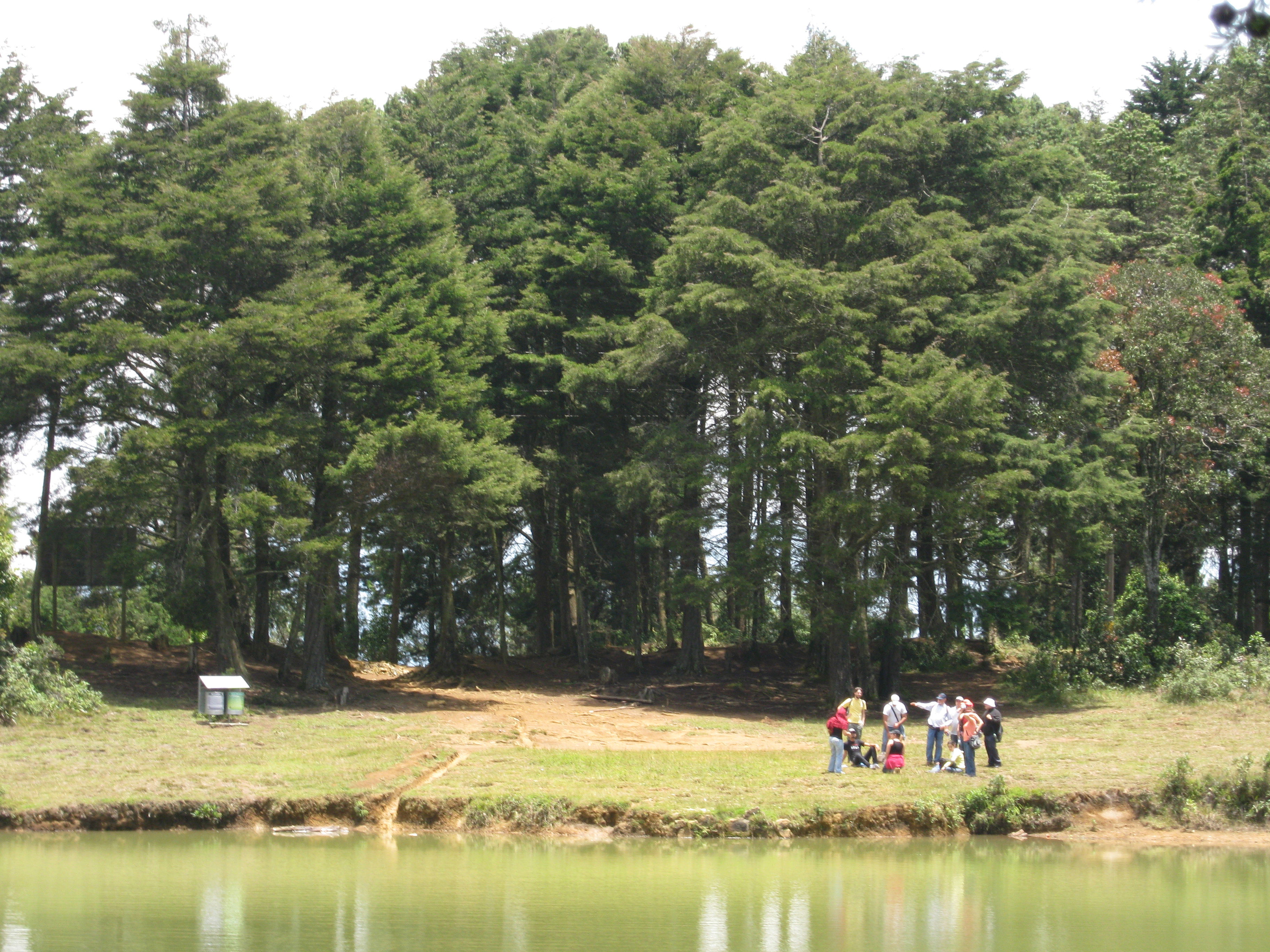 Parque Arví, por Edgar Villarraga