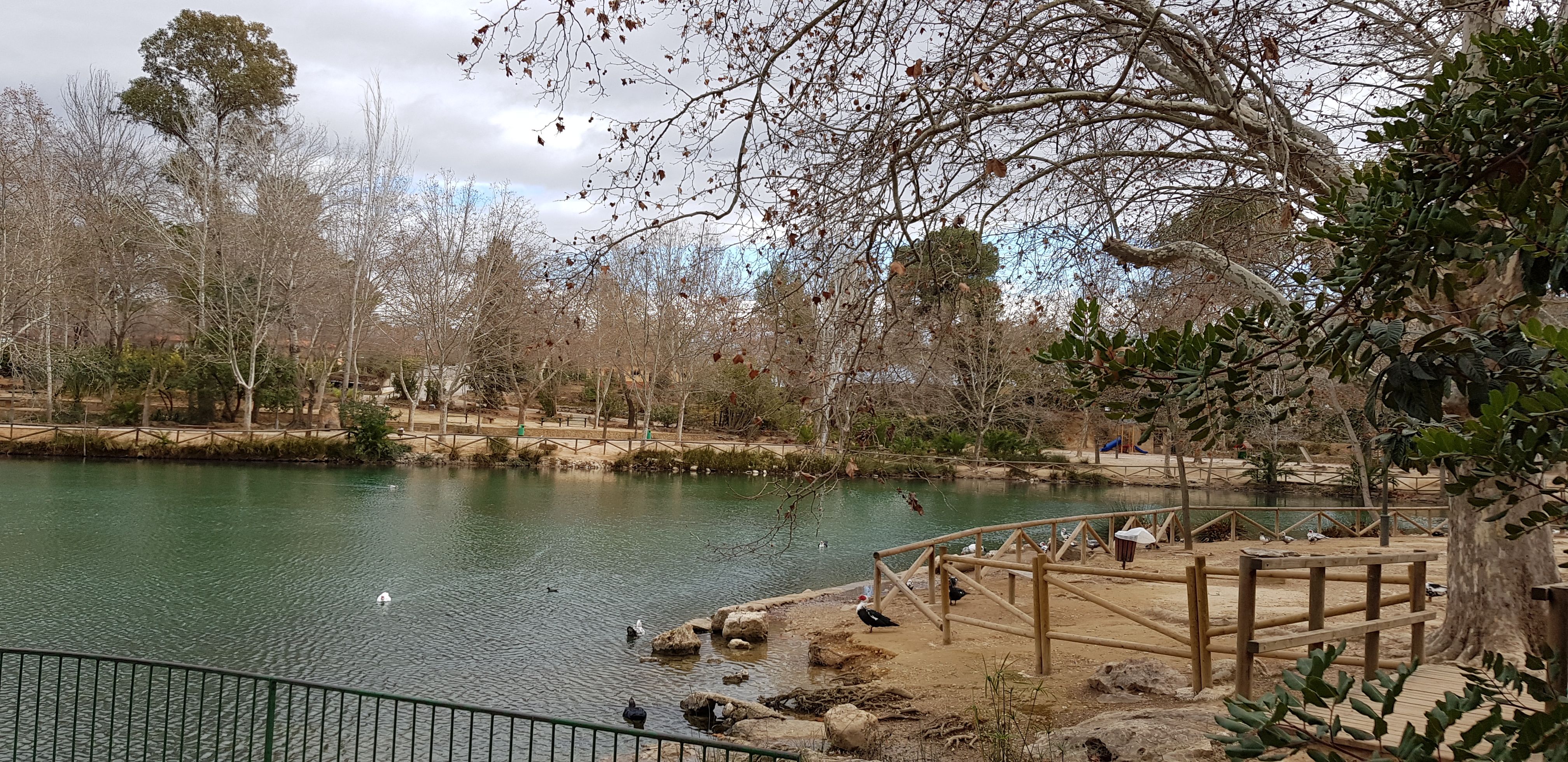 Desembocadura del lago de Anna, por Carmen Gomez Ponce