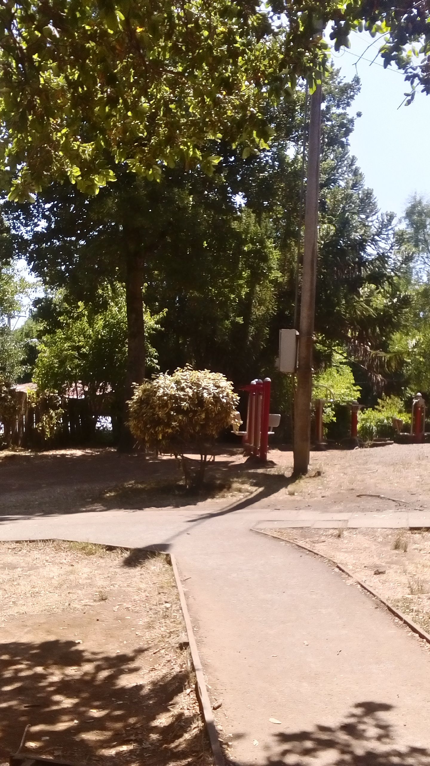 Mirador Cerro Ñielol, por Lidia Tamayo Lagos