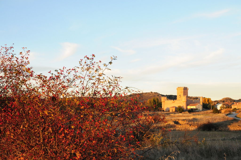 Castillo de Guijosa, por David Esteban