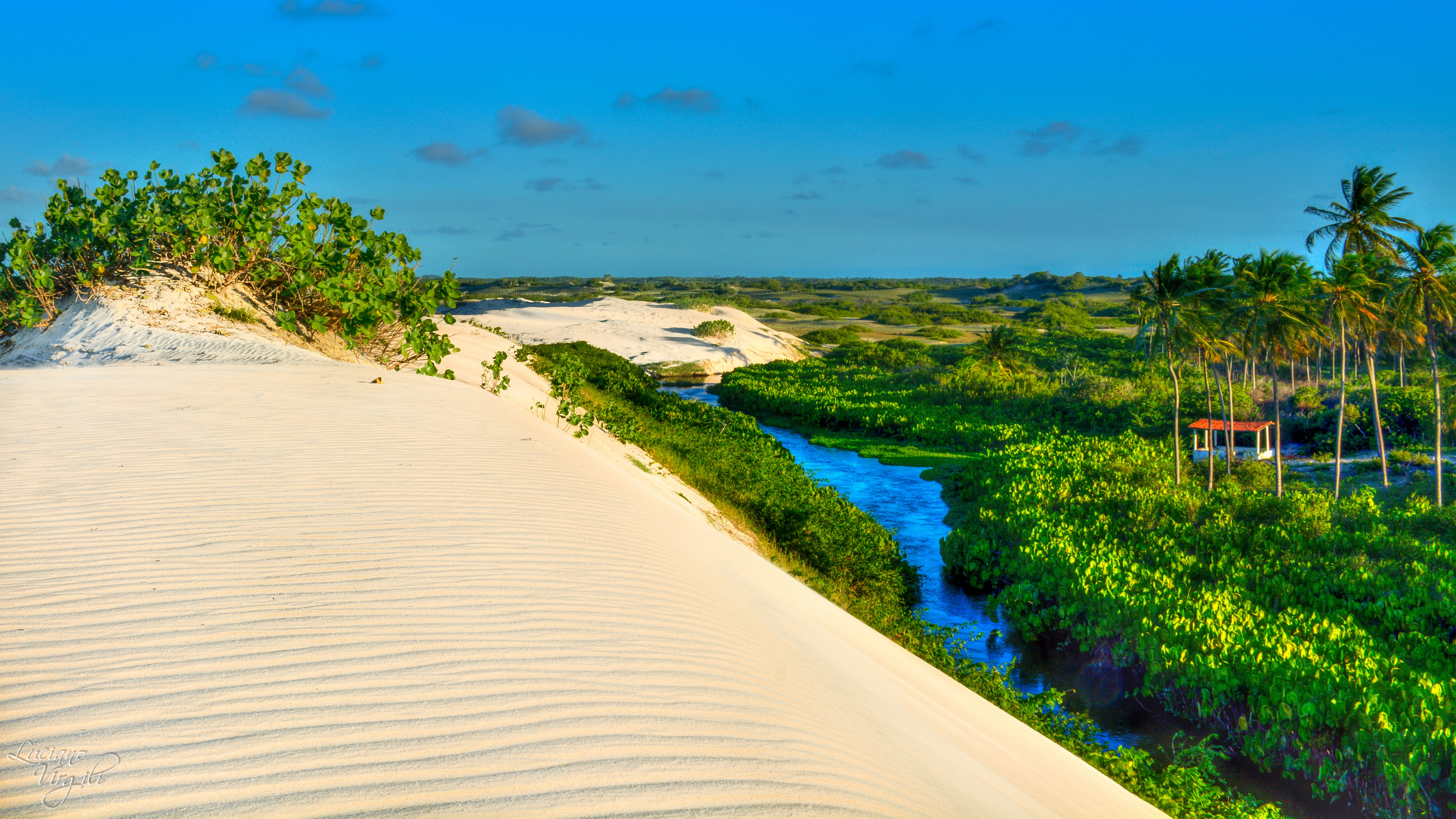 Playa Zumbi, por Luciano Virgili Calvano