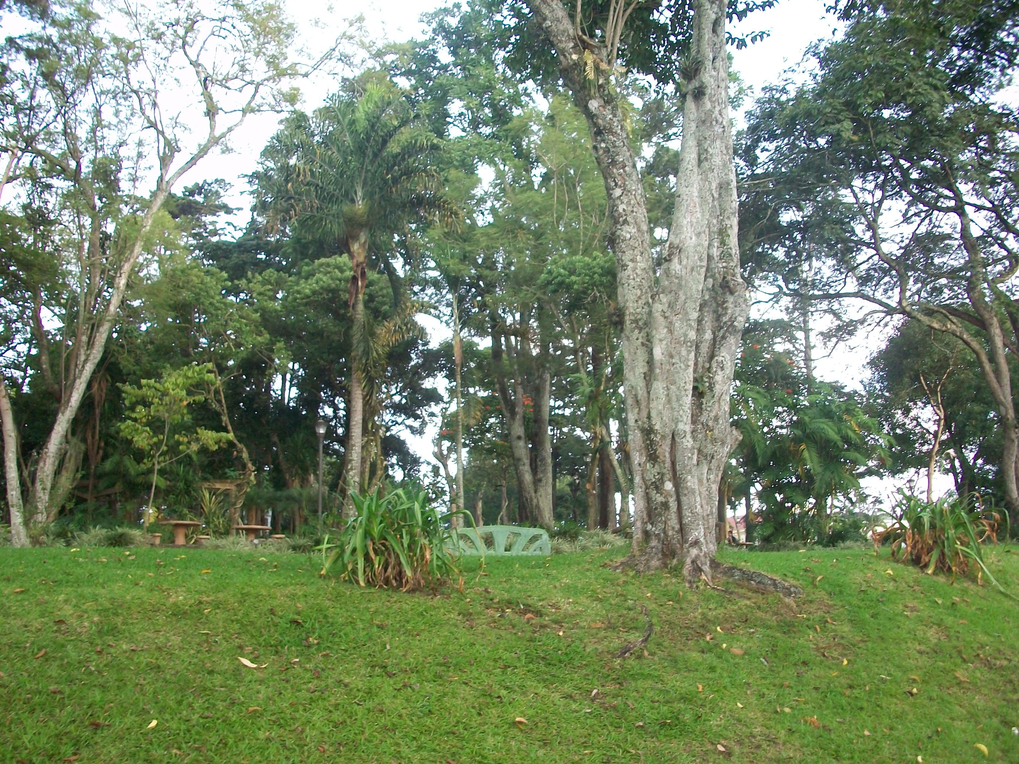 Reservas naturales en San José que te enamorarán de la naturaleza