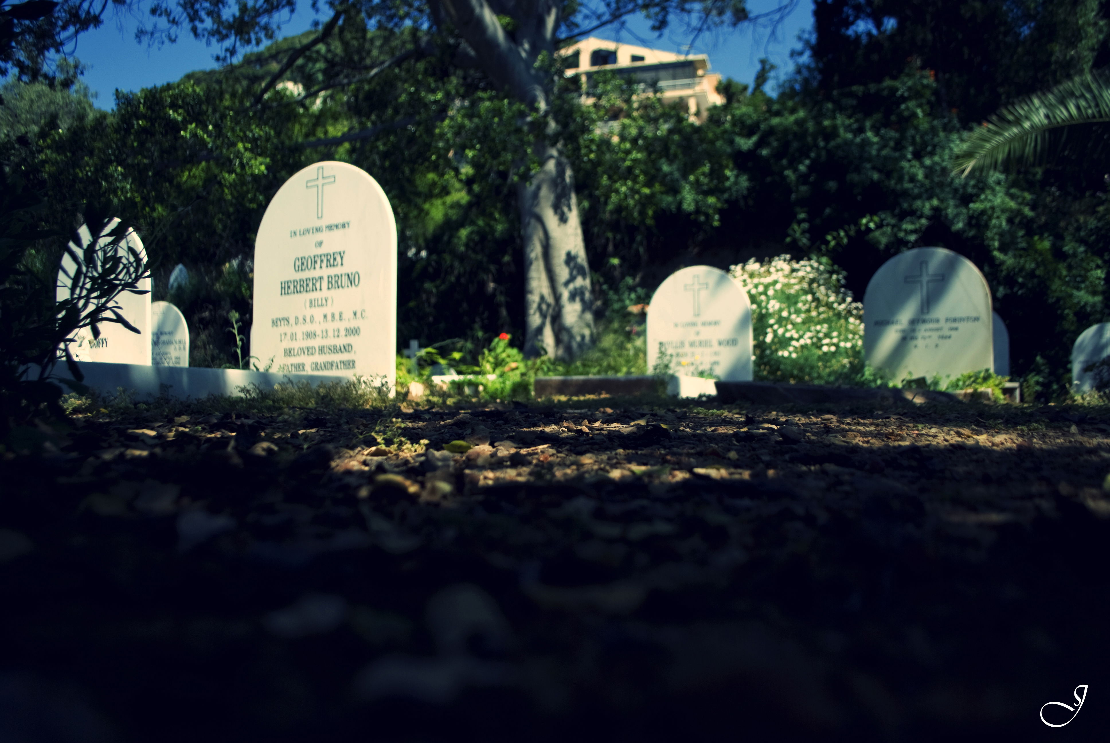 Cementerio Inglés, por Jessica Gonzalez Gonzalez
